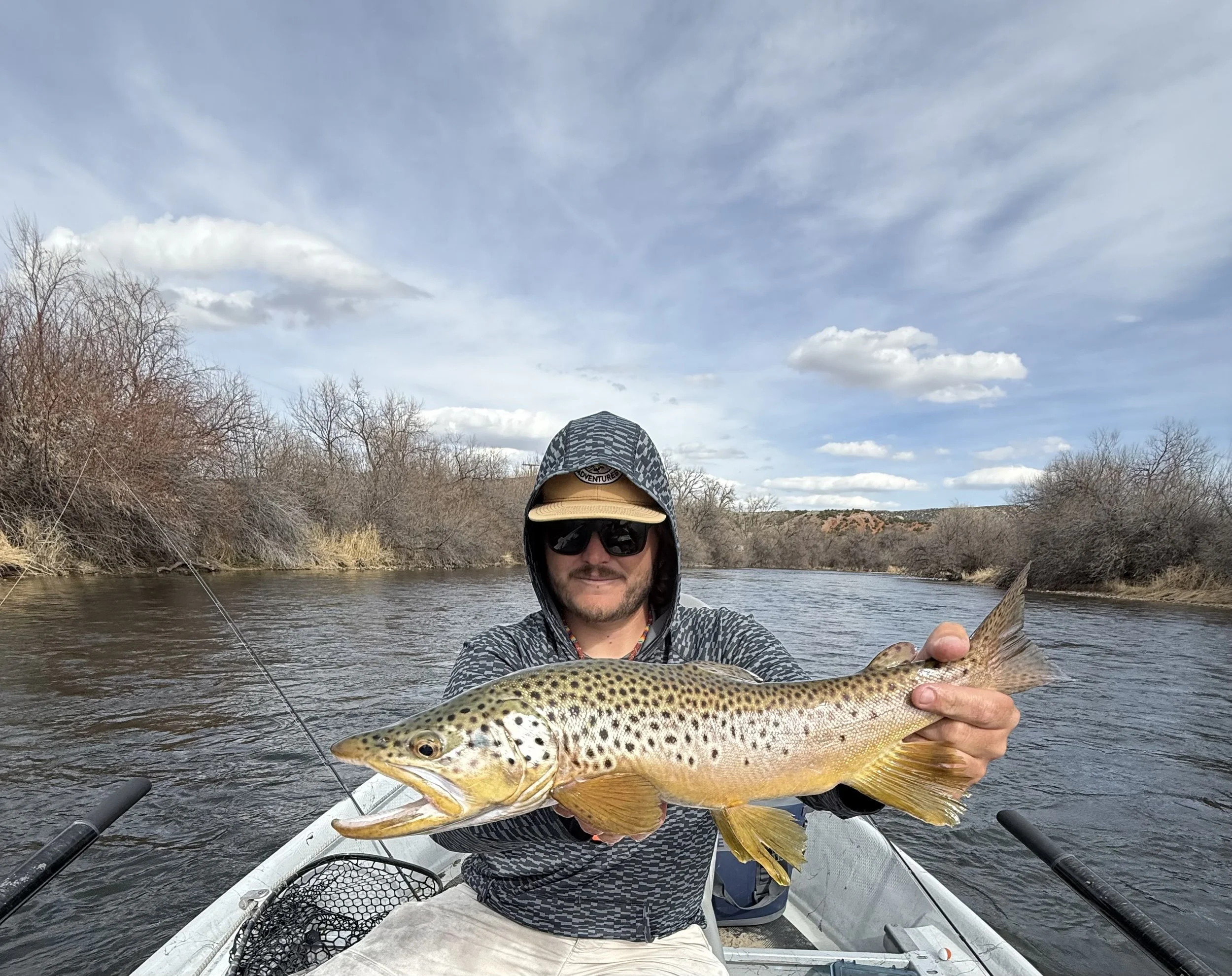 Brown Trout Caught on Fly Rod in the Bighorn River in Thermopolis Wyoming