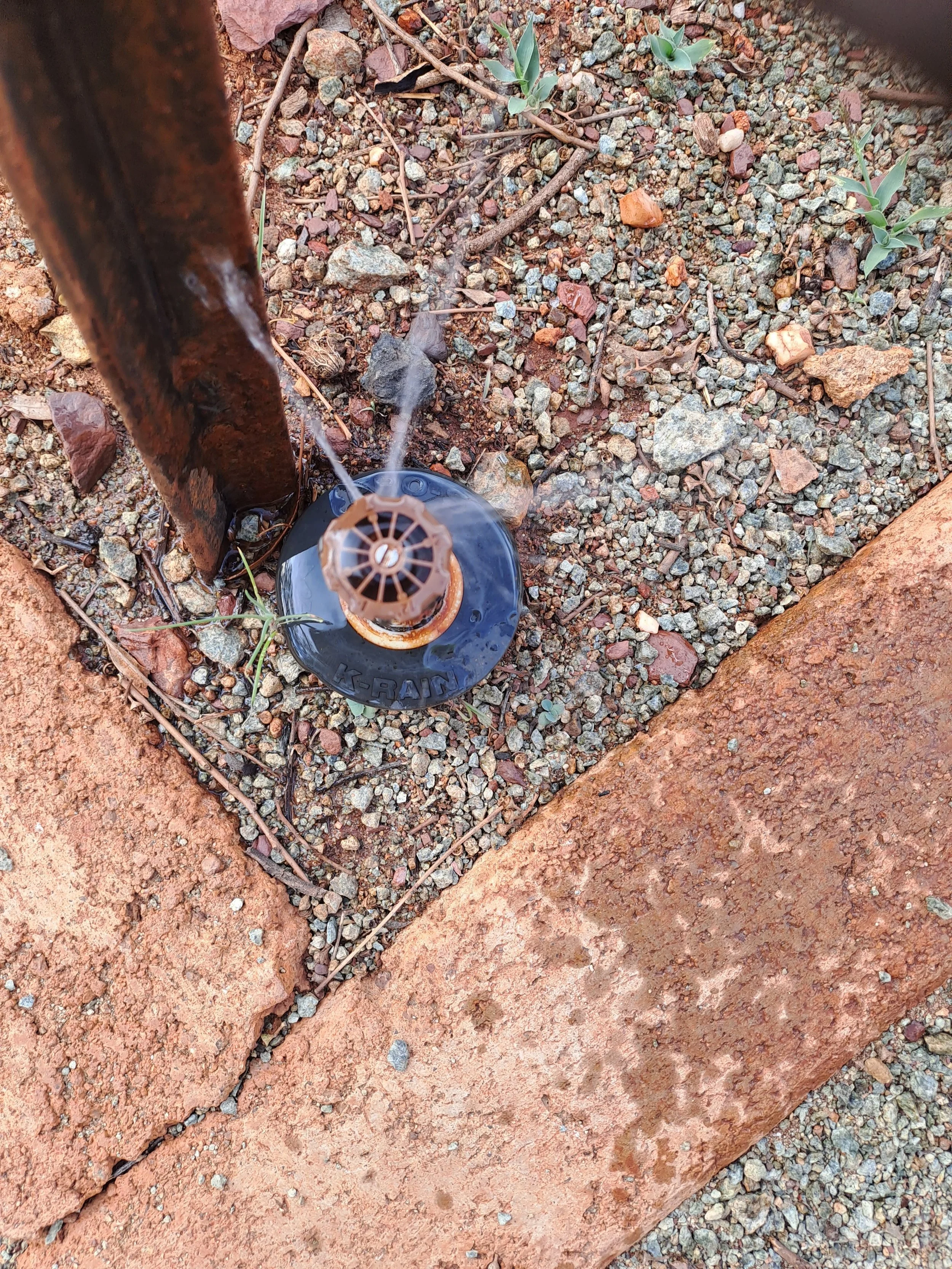 20230510_151856.jpg
