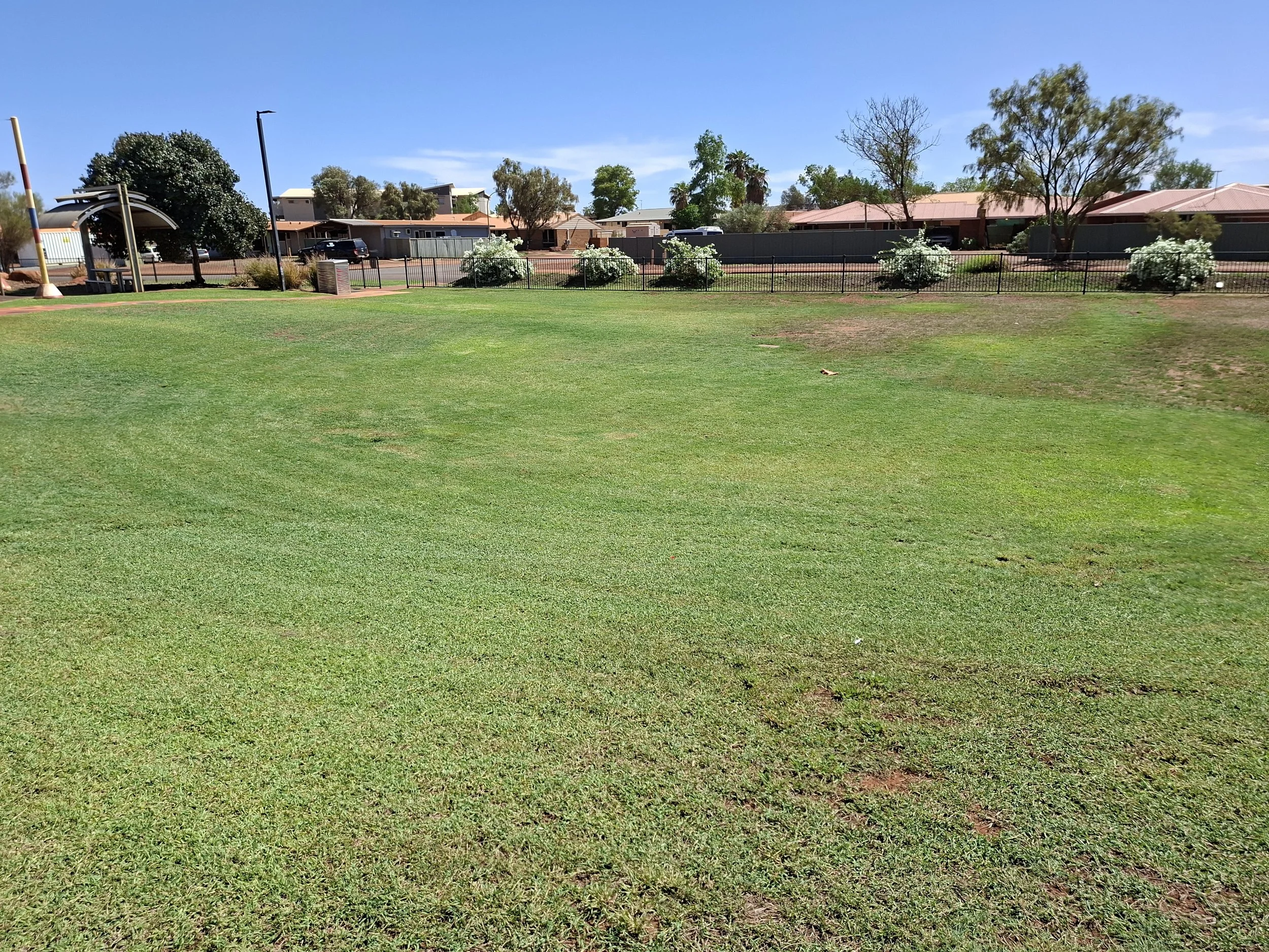 20260224_094818.jpg