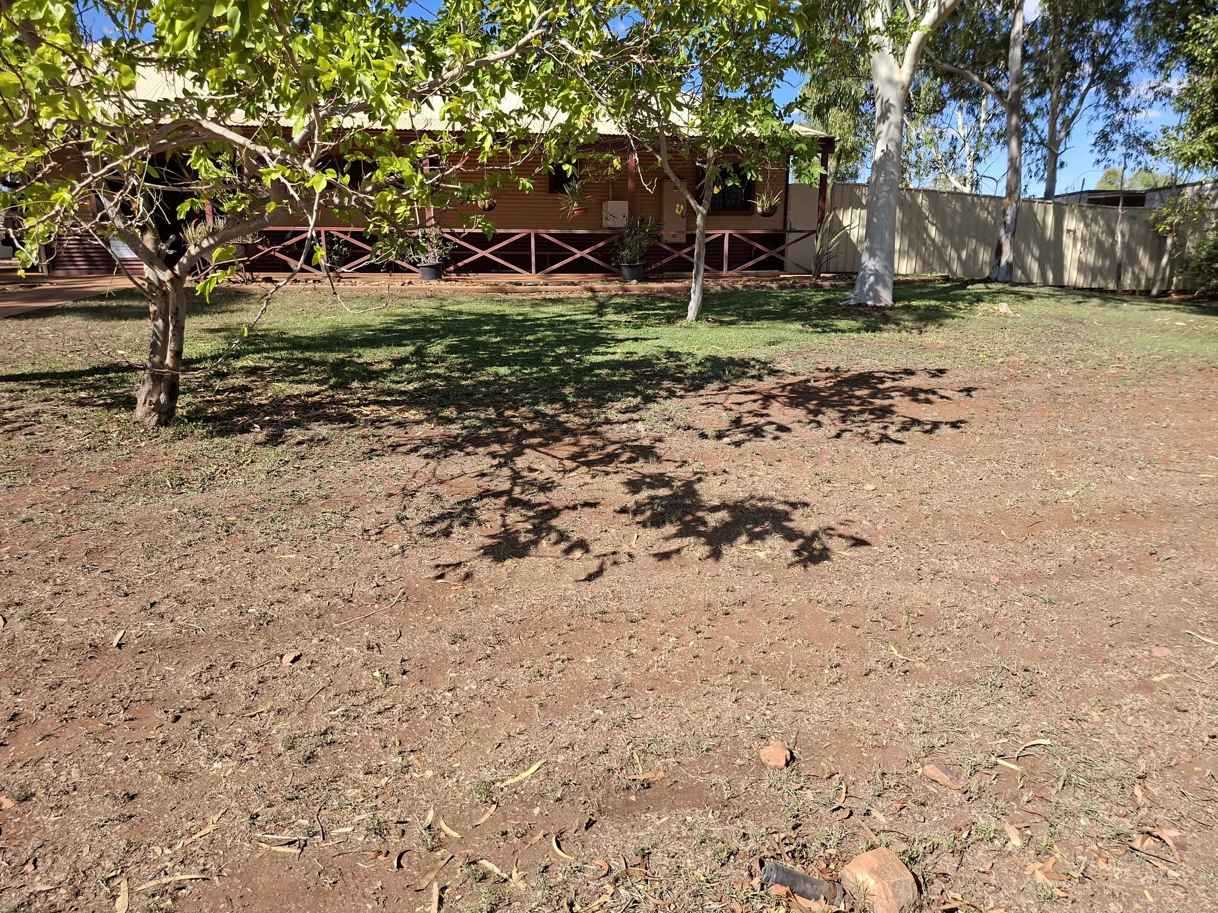 20260309_150430.jpg