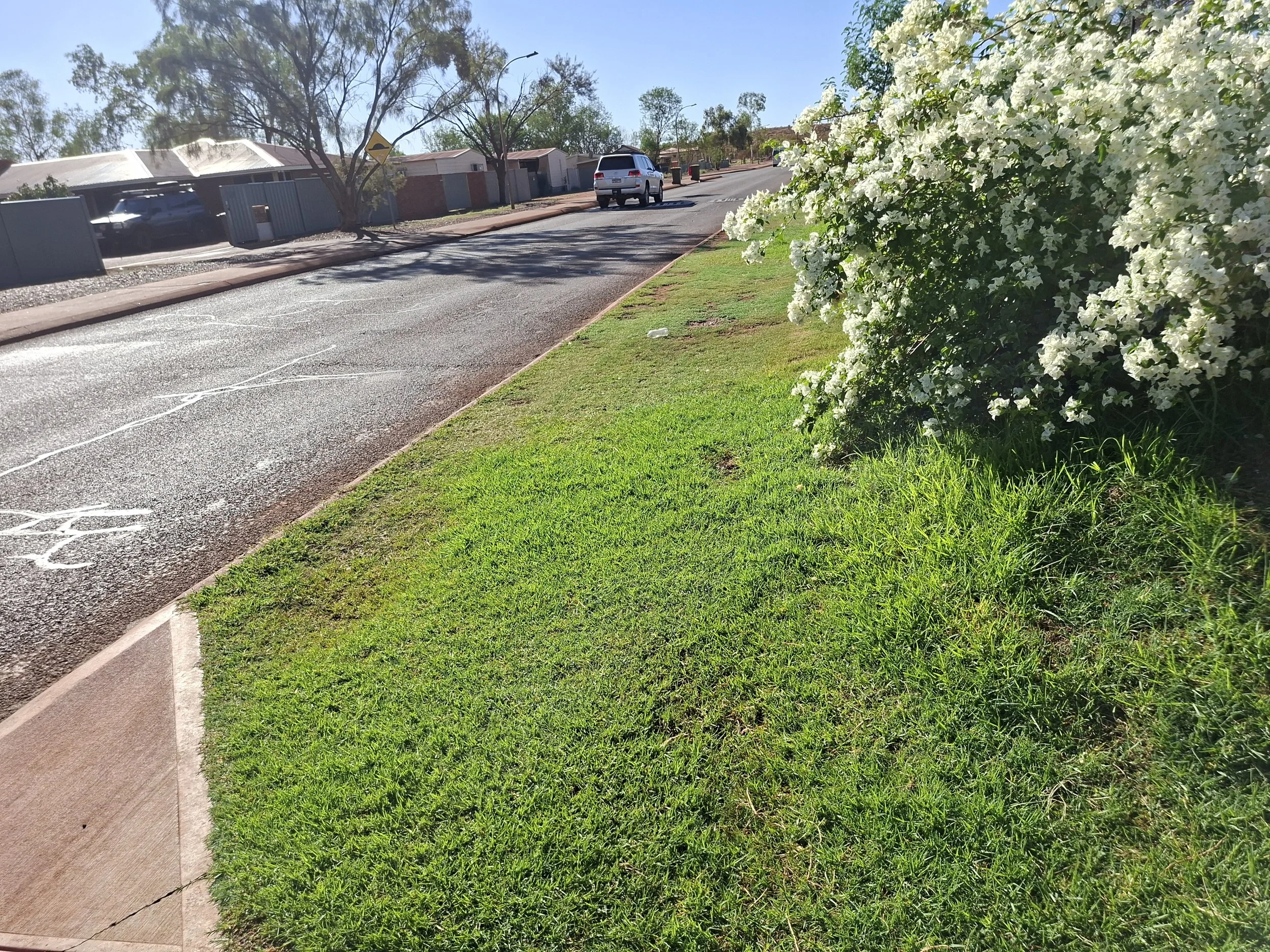 20260224_080704.jpg