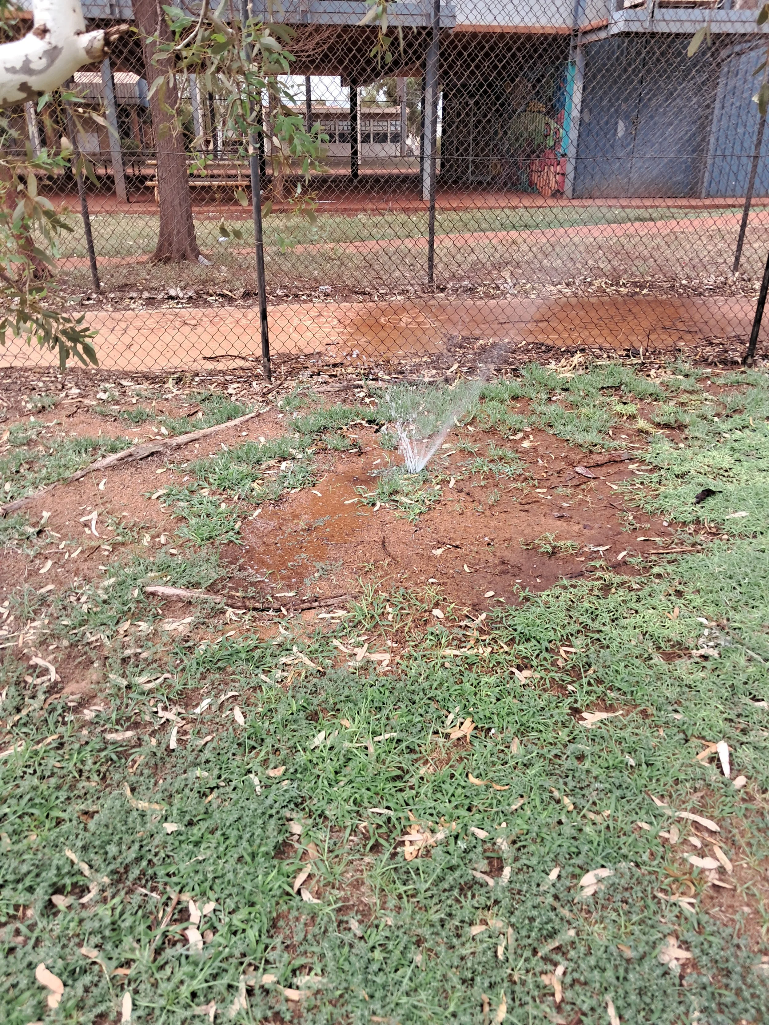 20250211_153207.jpg