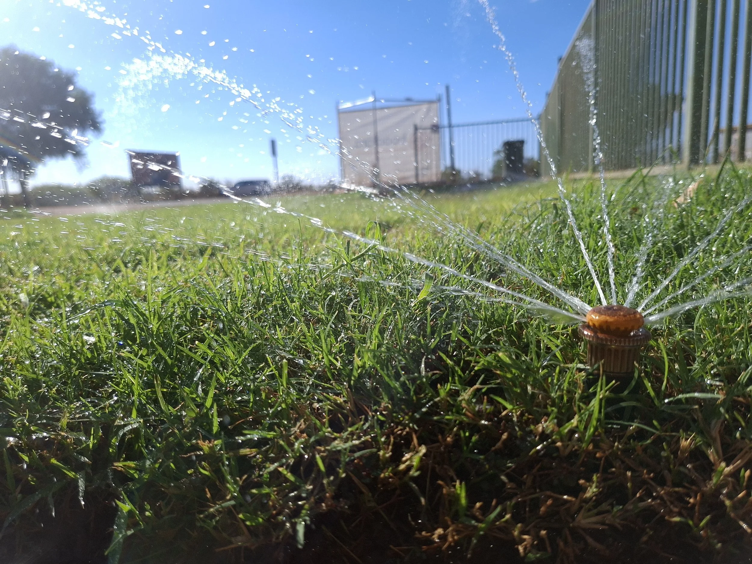 20260504_084849.jpg