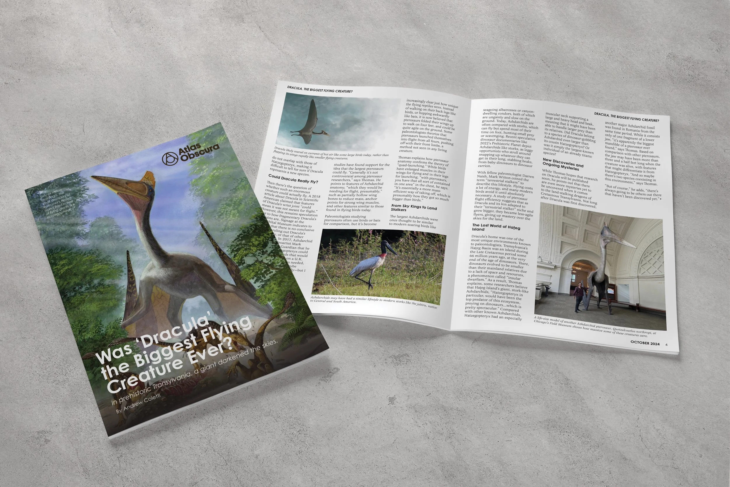 Magazine Layout