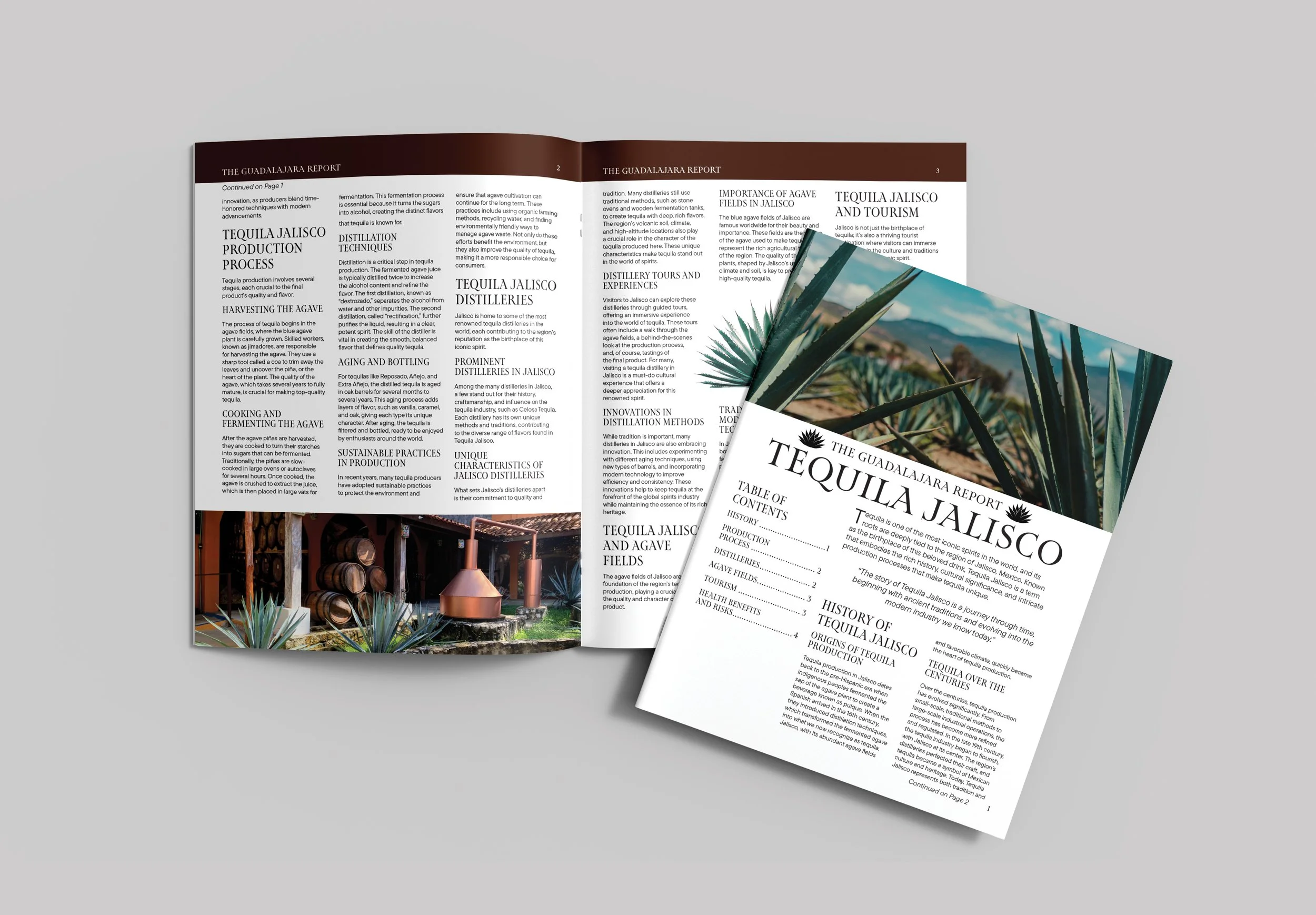Newsletter