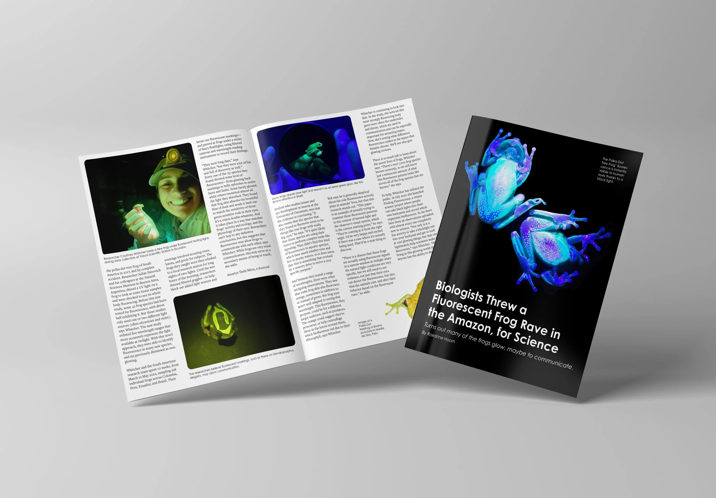 Magazine Layout II