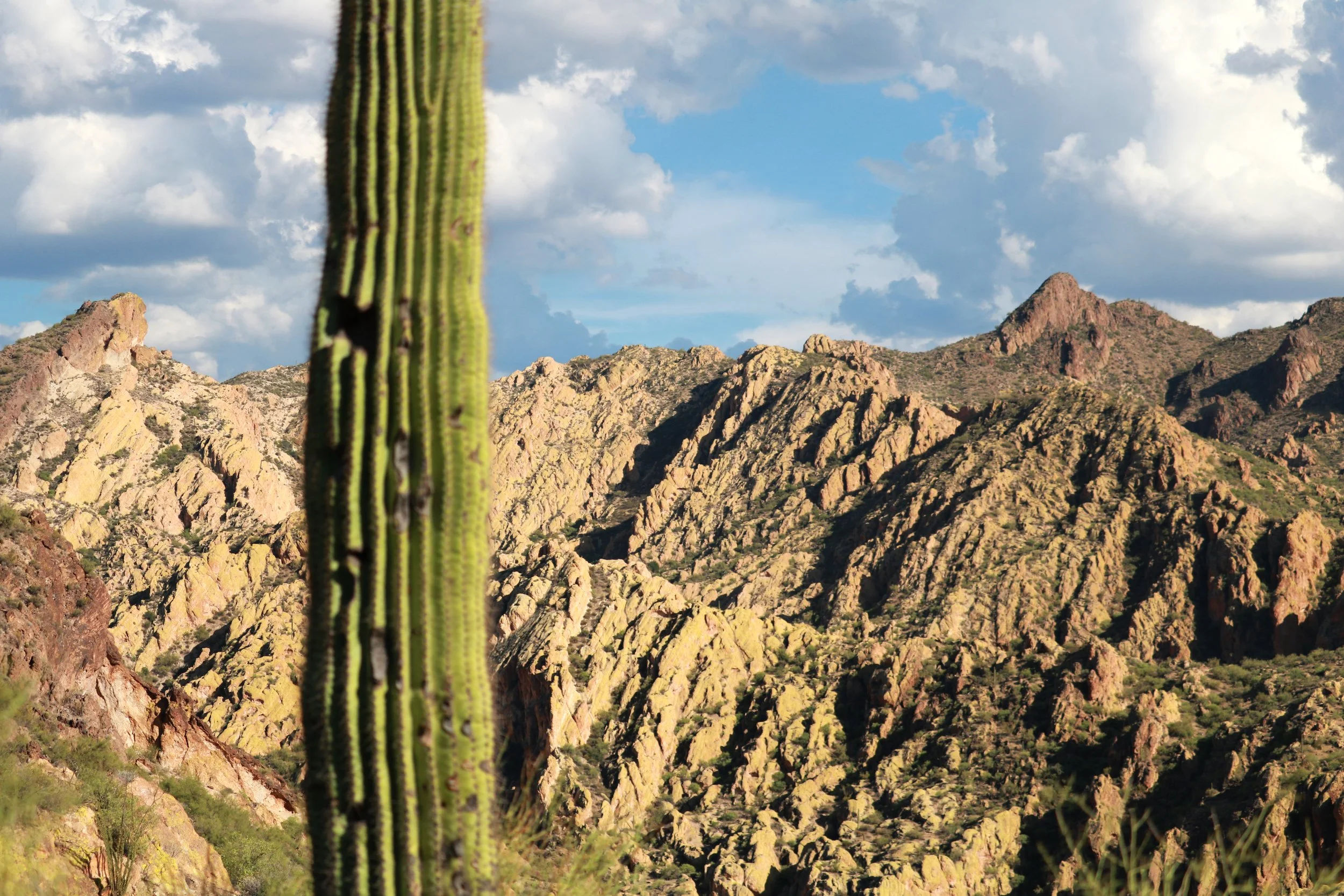 ArizonaMountains.jpg