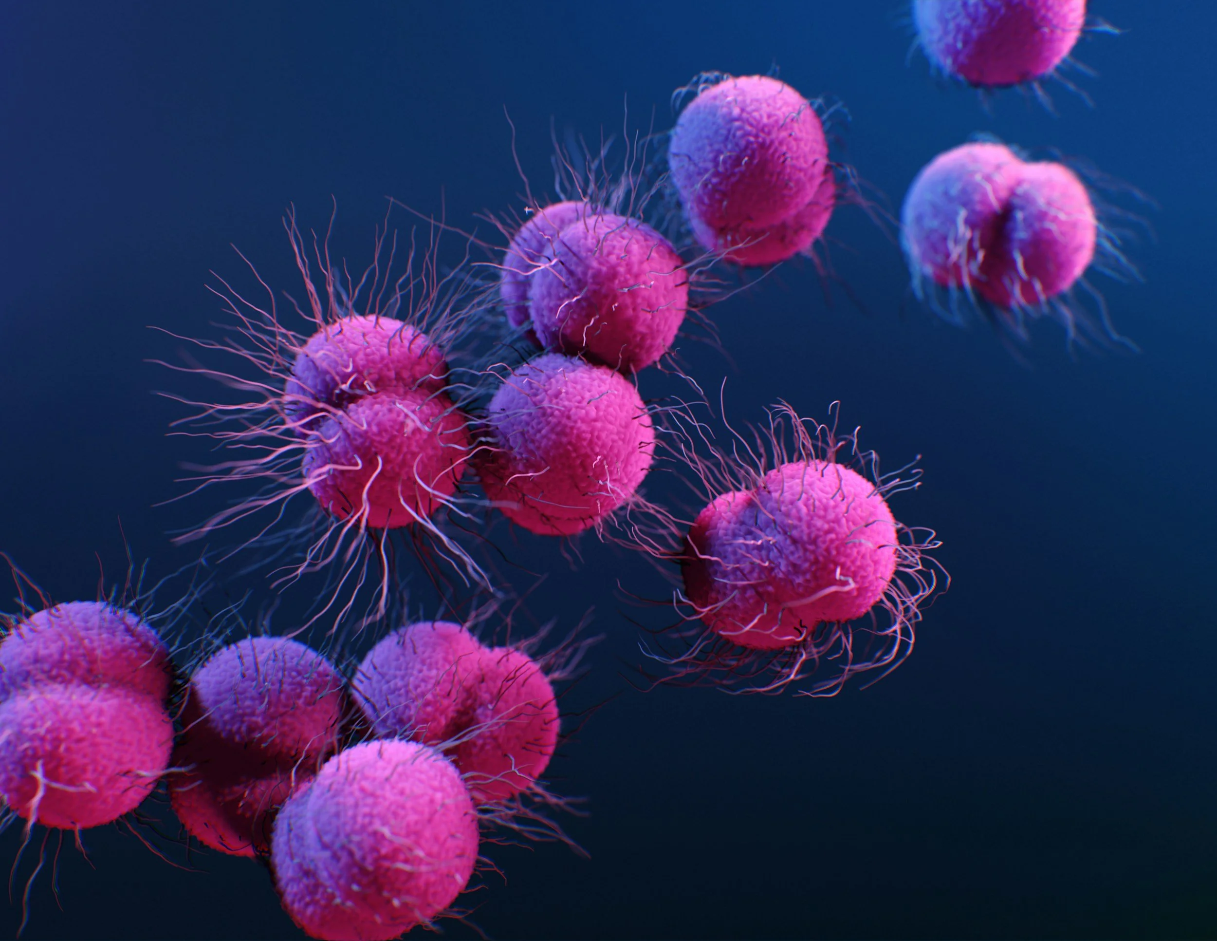 The Immune System Strikes Back: An Introduction