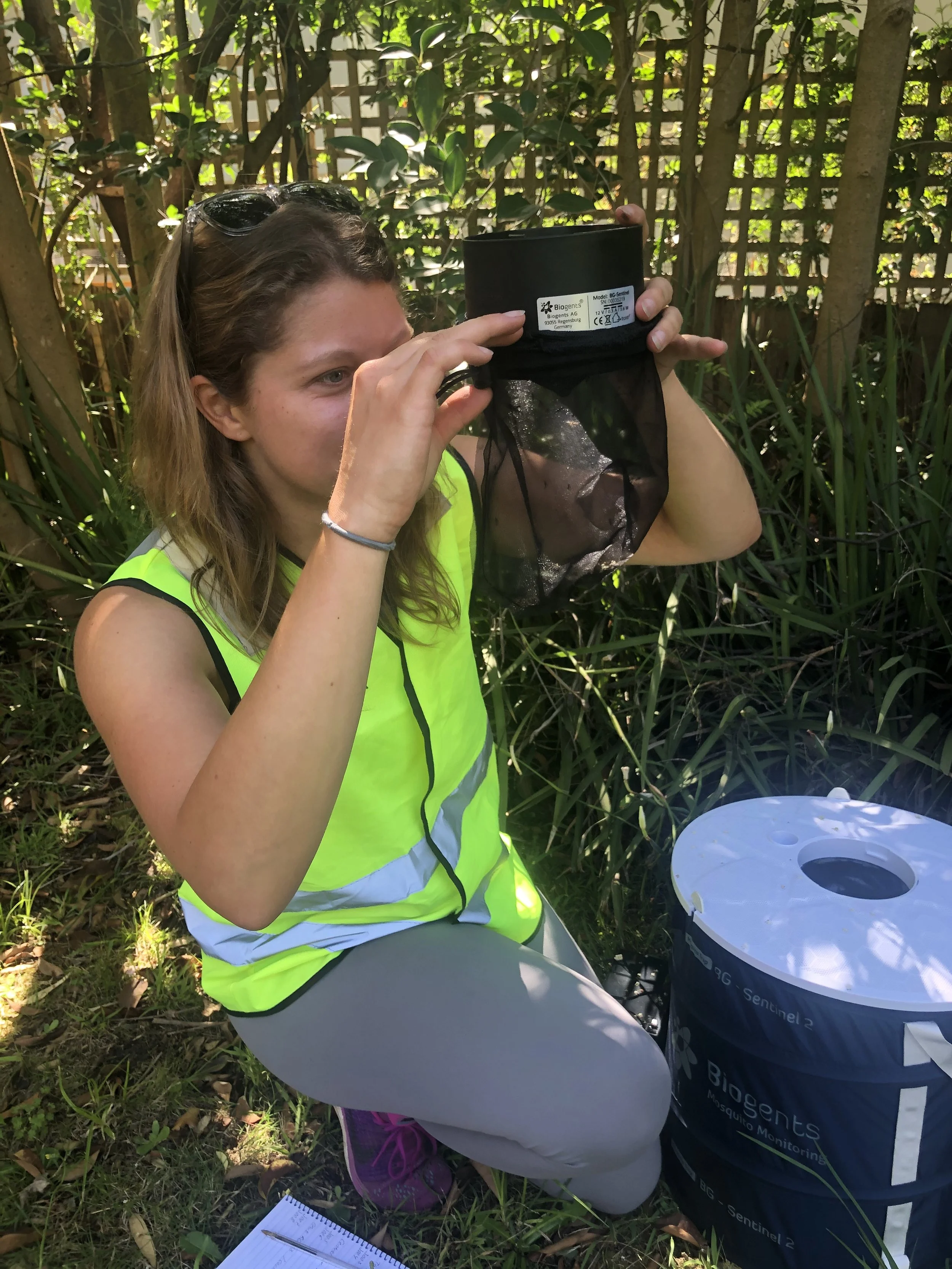 Tracking the spread of Buruli ulcer with mosquito surveillance