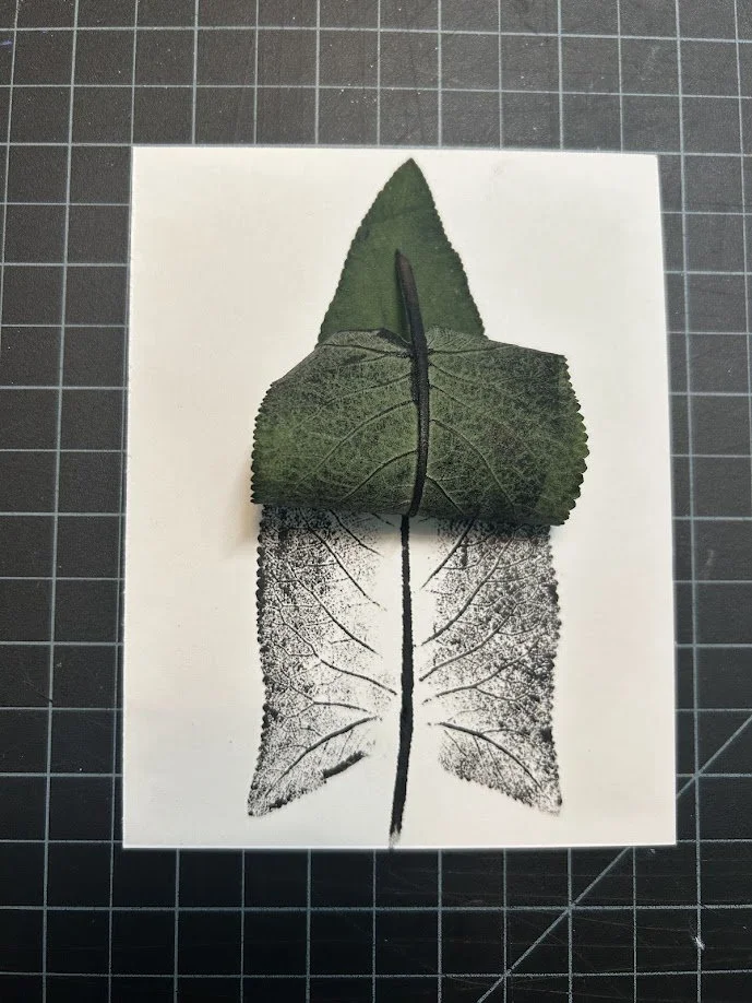a green leaf curled up to show an ink print on paper