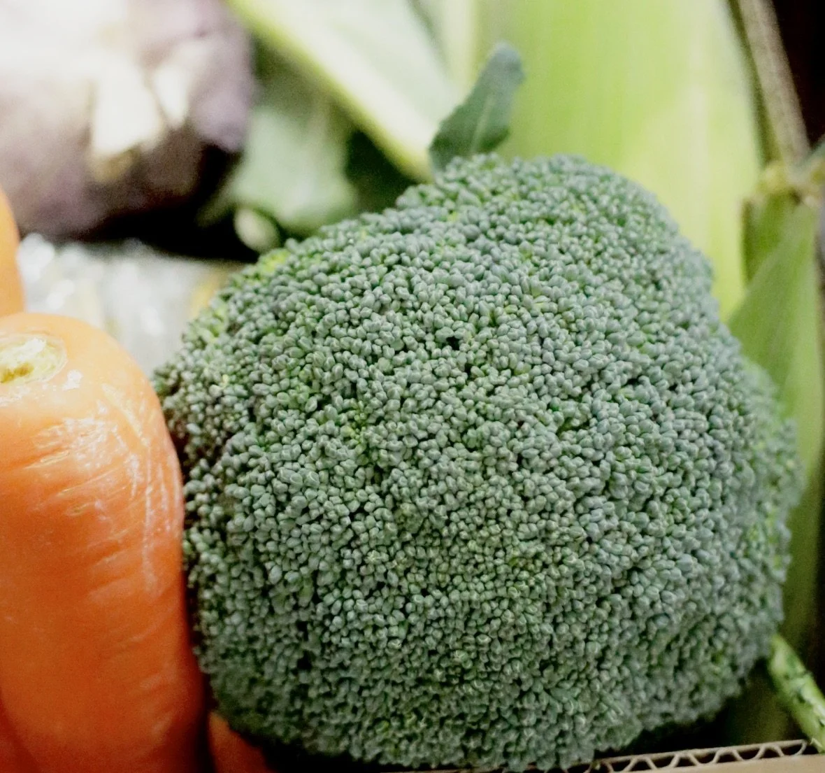 Broccoli  $4 per/kg