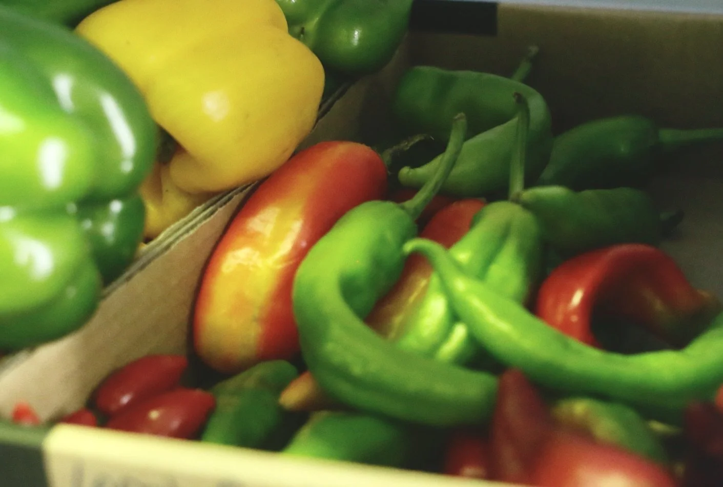Chilli Varieties $30/kg