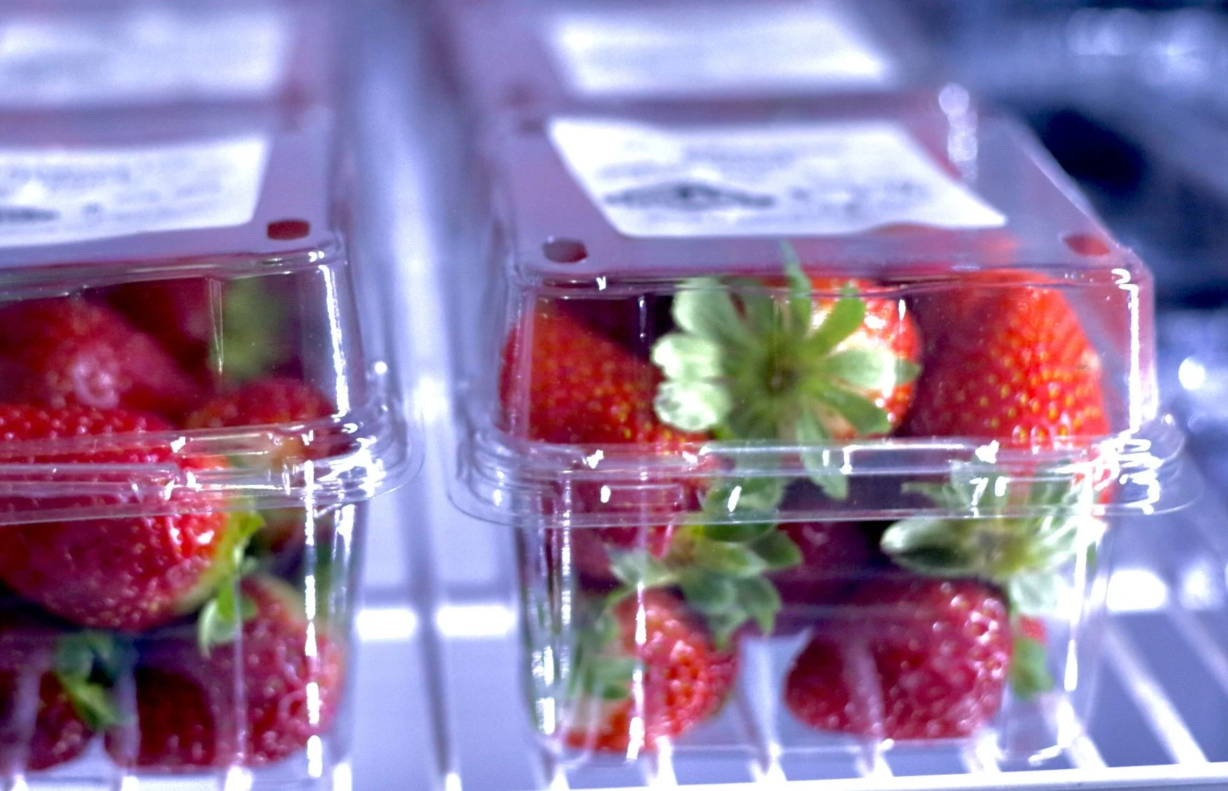 Strawberries $8 Per Punnet