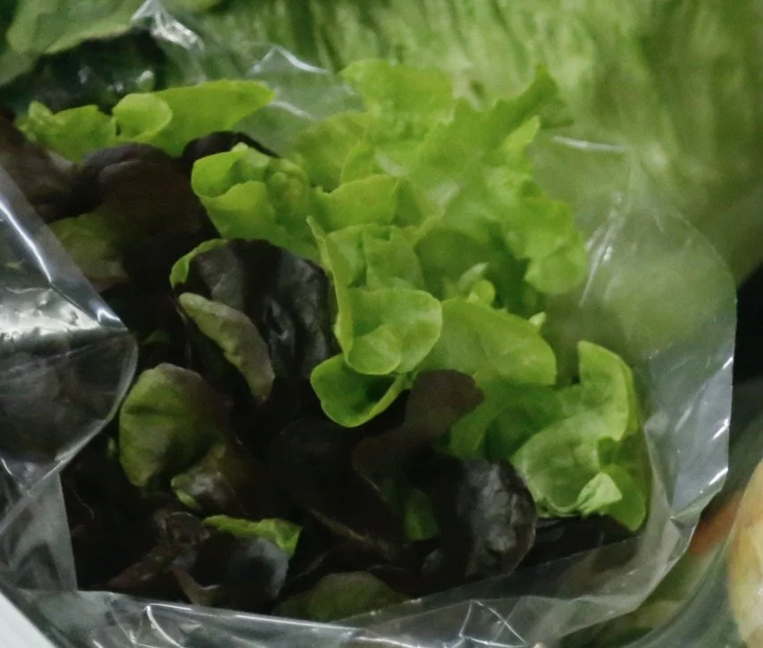 Crisp Mixed Leaf Lettuce