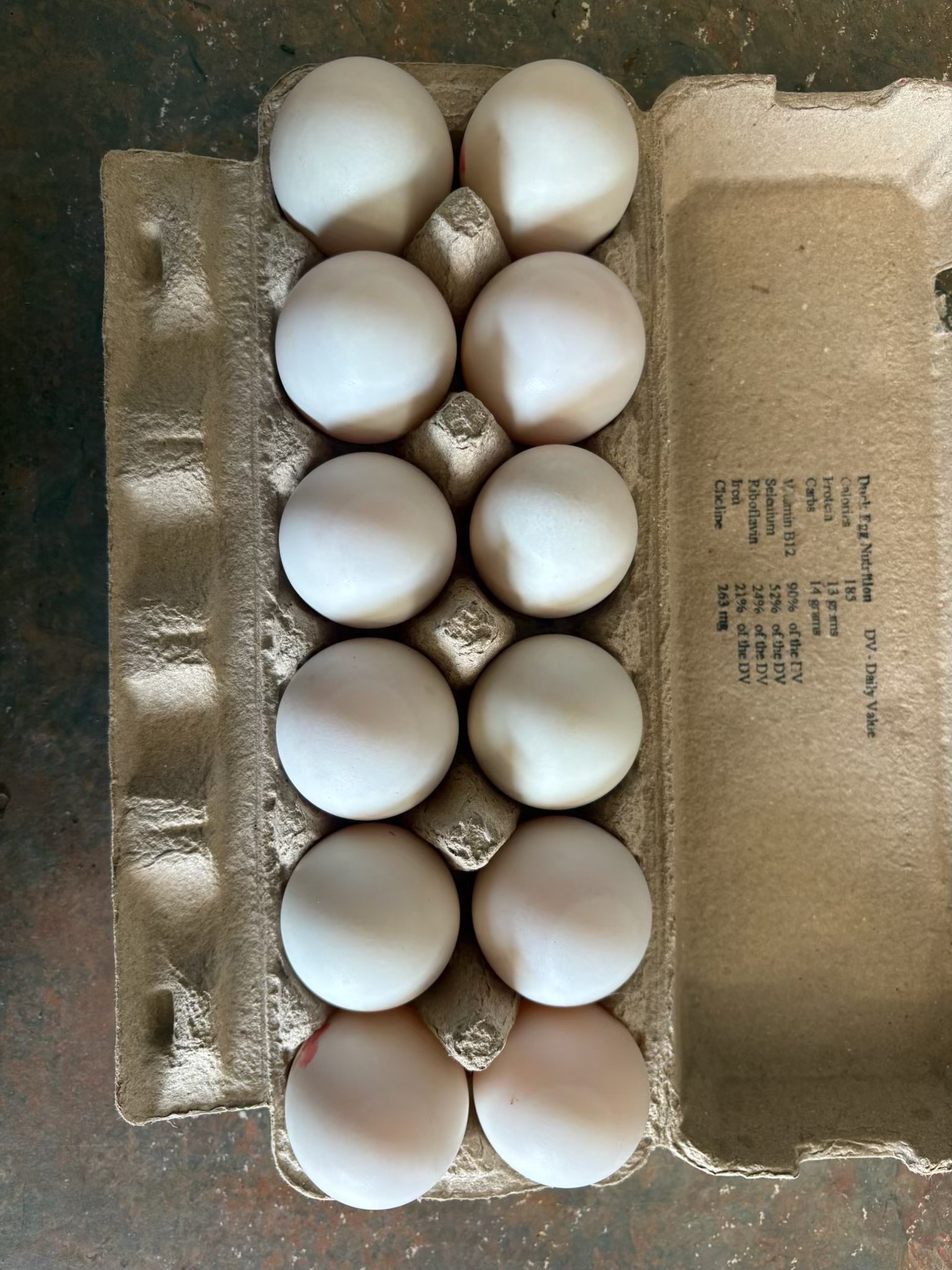 Cowra's Finest Duck Eggs $12 per Dozen