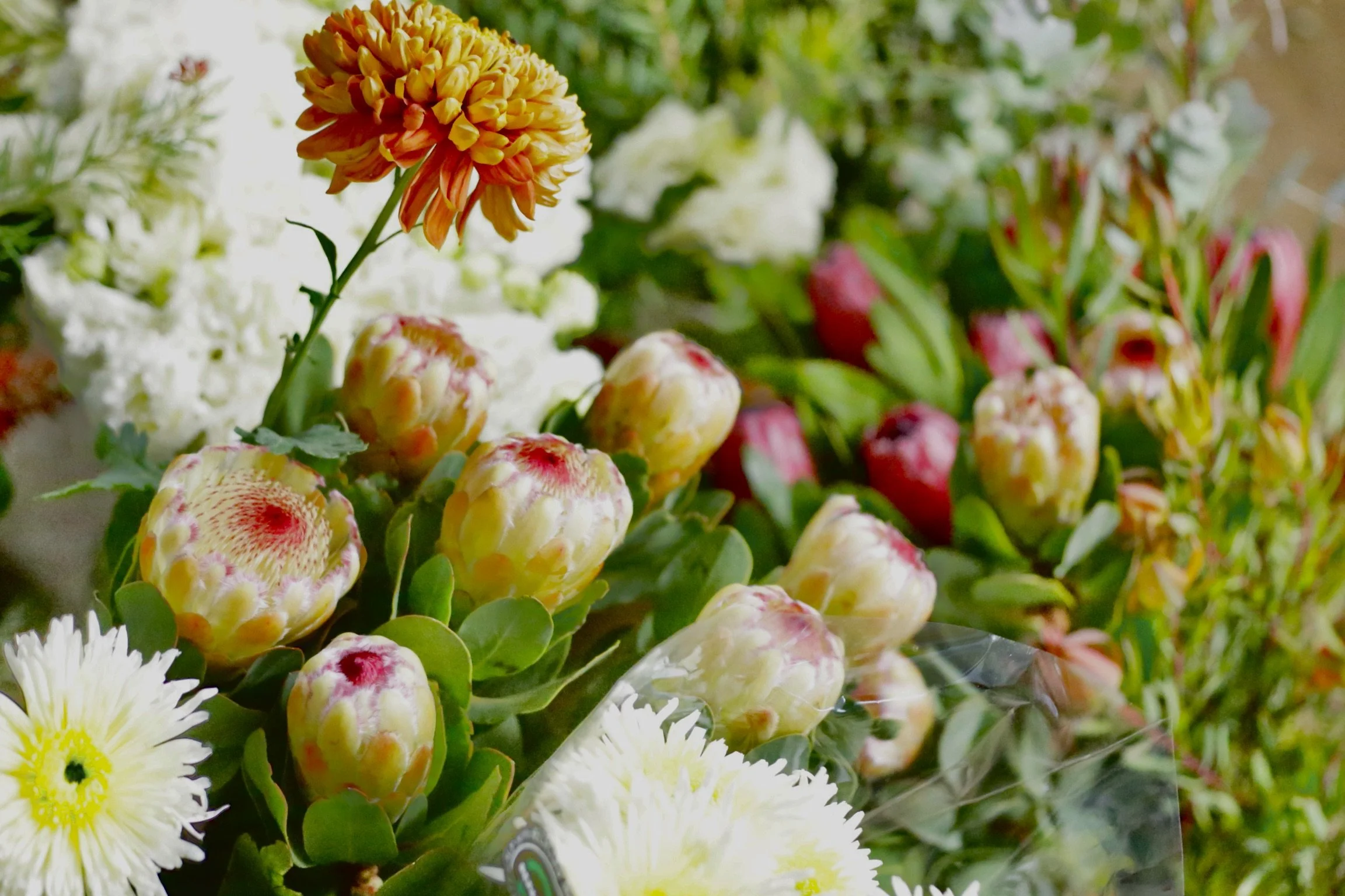 Flowers - Fresh Cut