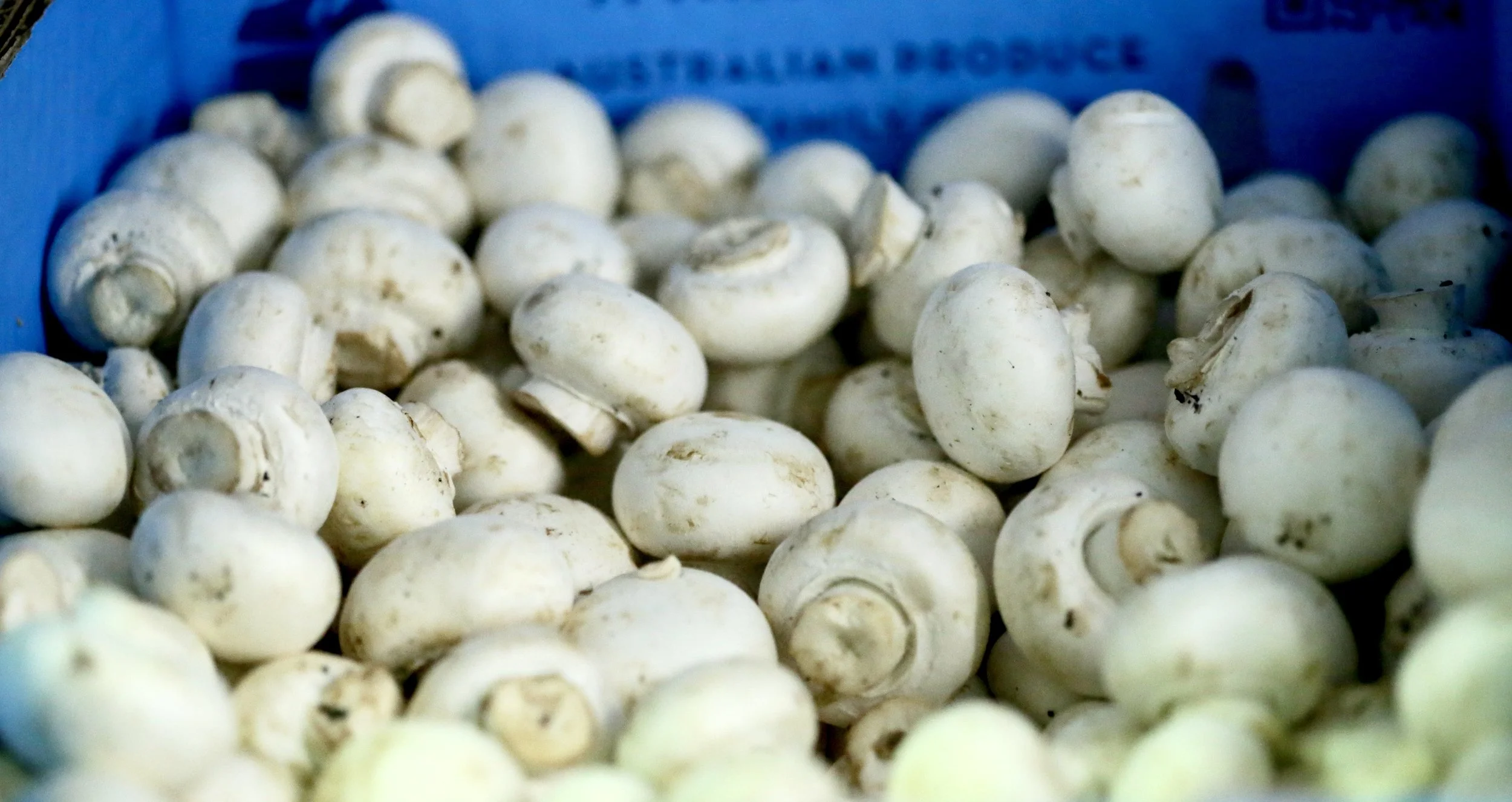 Mushrooms $18 per/kg