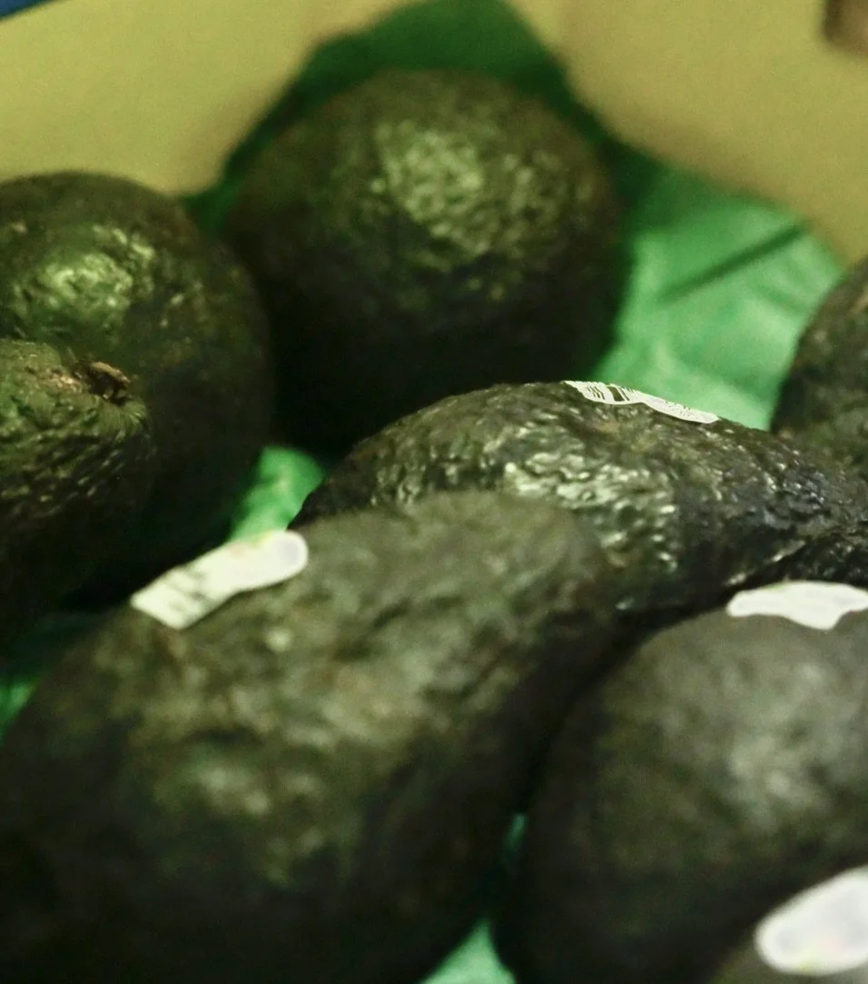 Avocado $3 each