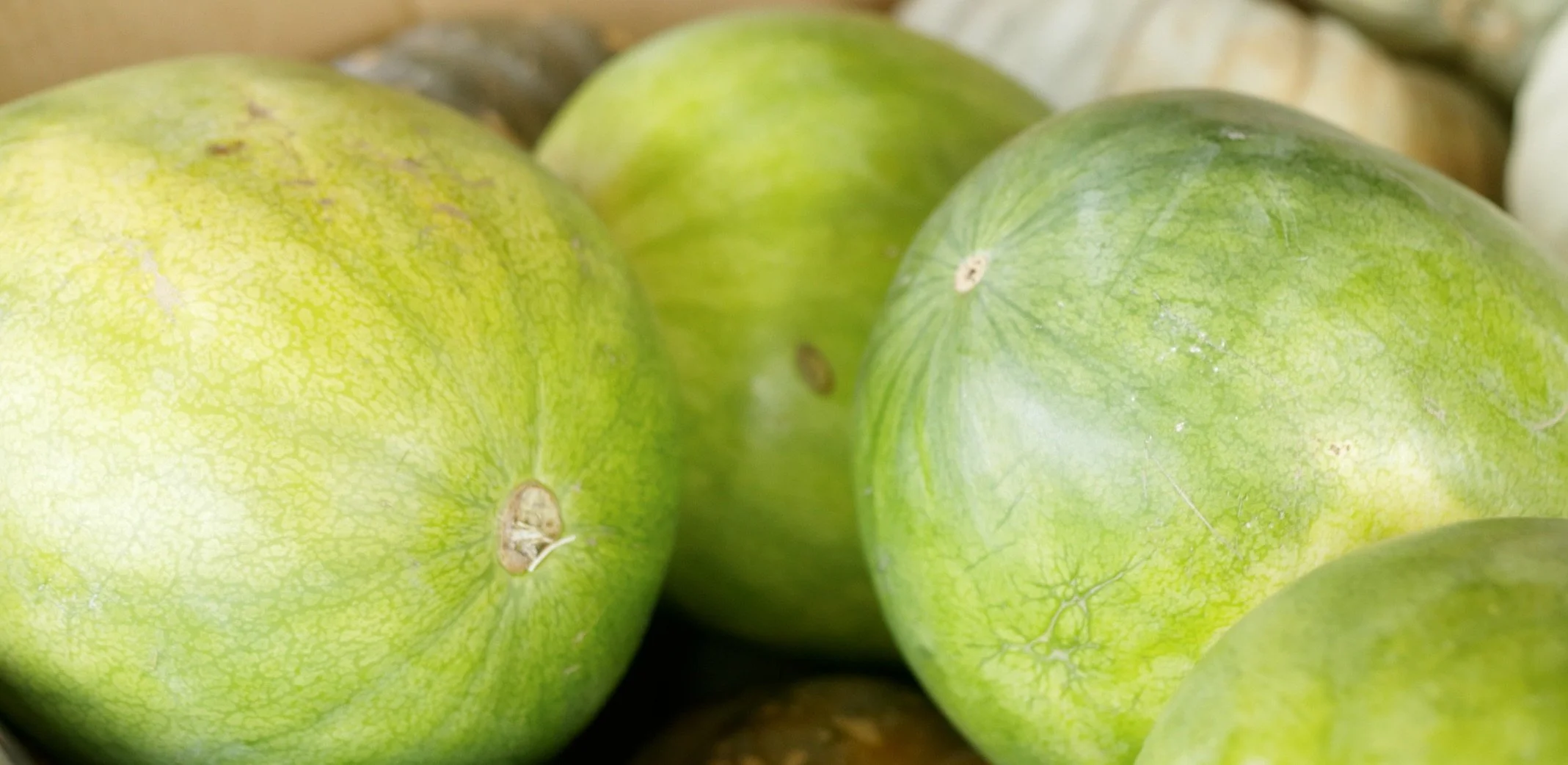 Watermelon Whole $18 each