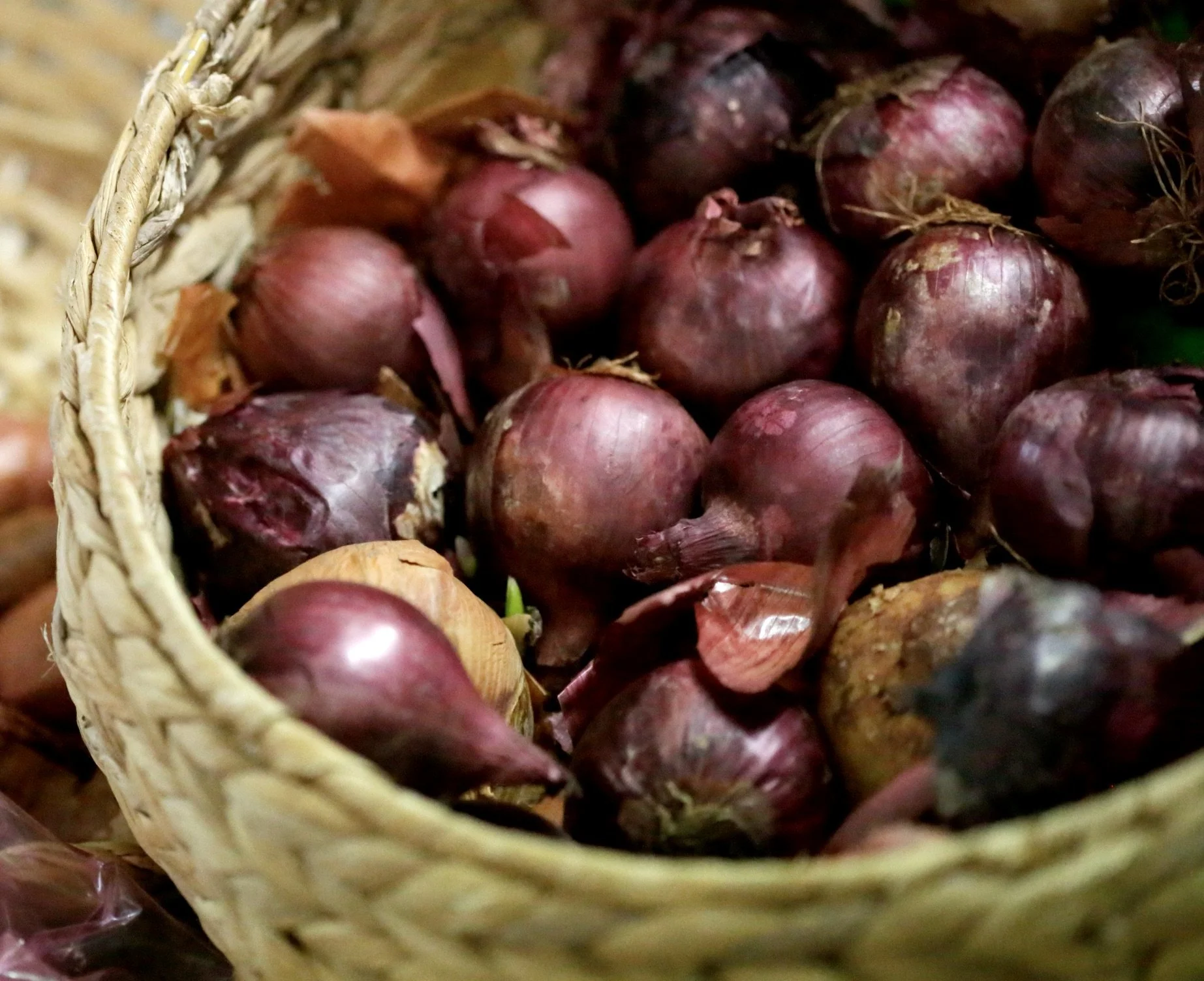 Red Onion $5 per/kg