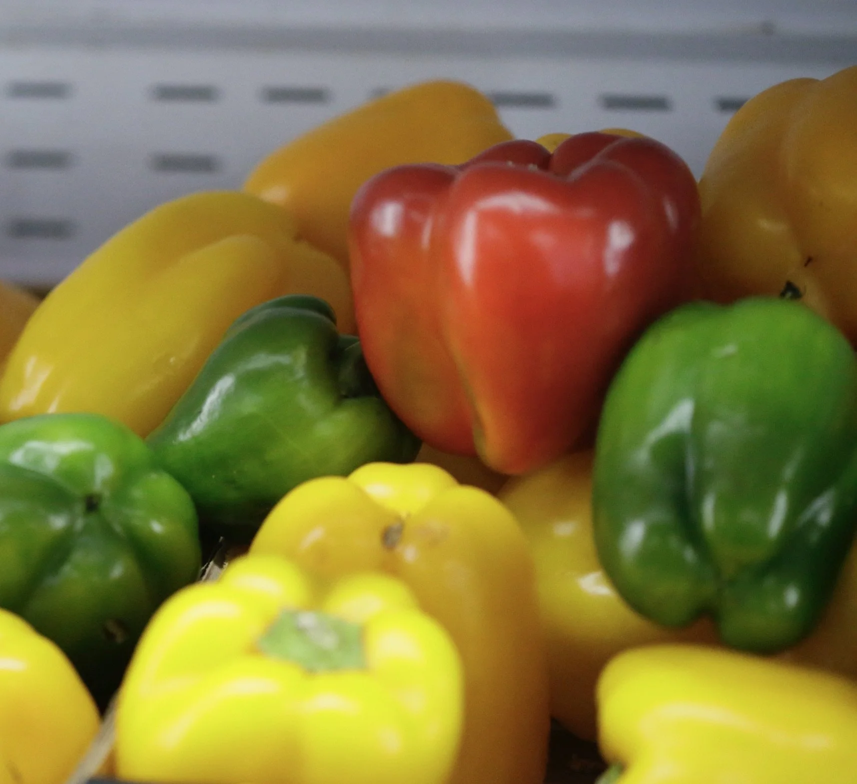 Capsicum $8 per/kg