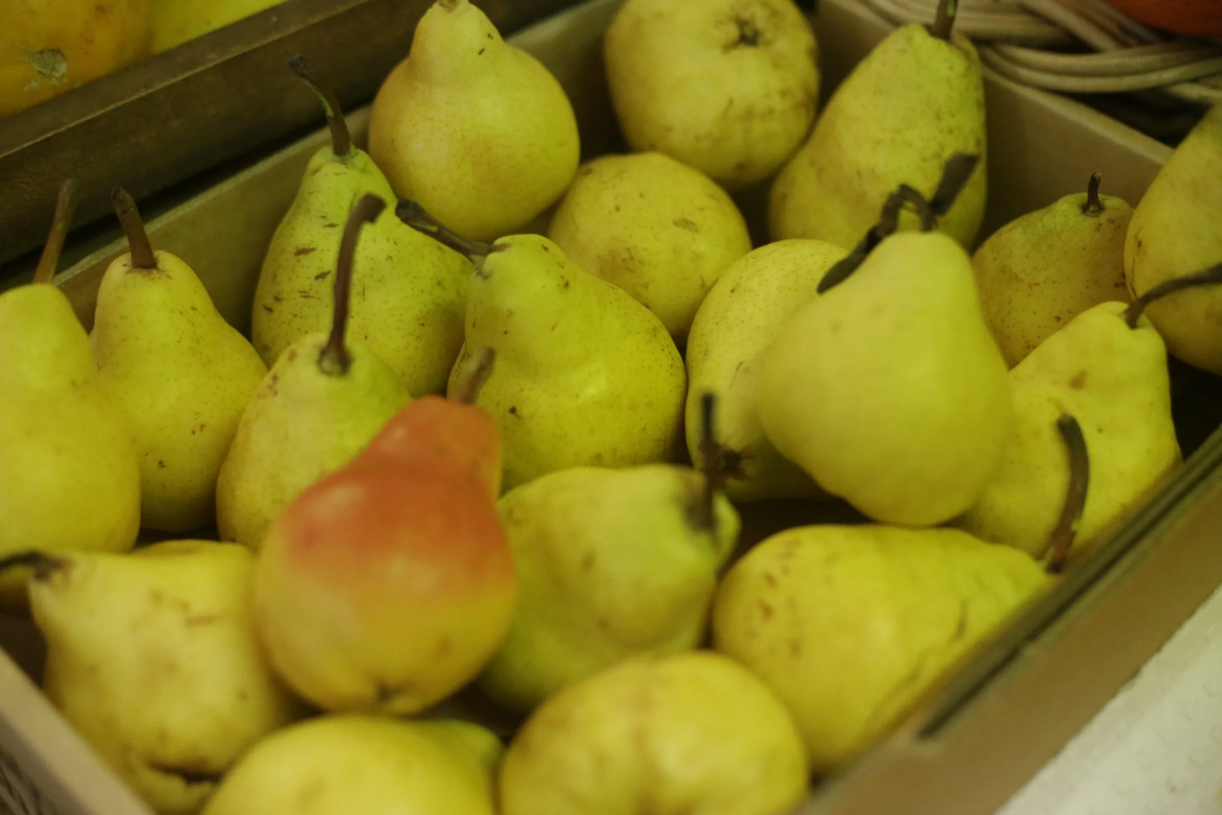 Farm-Fresh Juicy Pears
