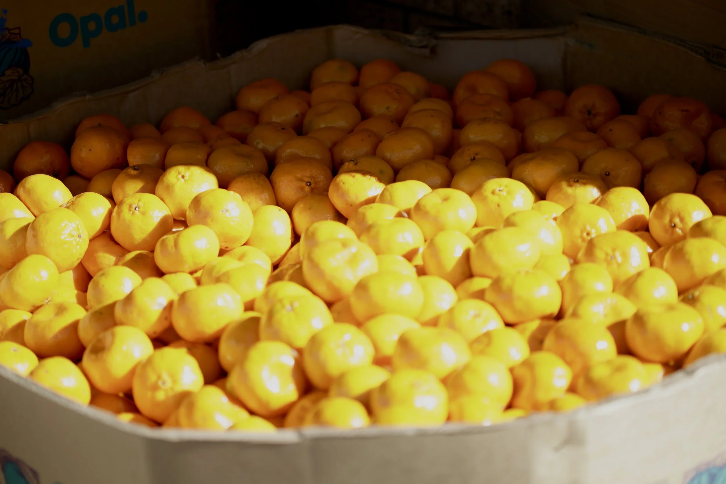 Mandarines $3 per/kg