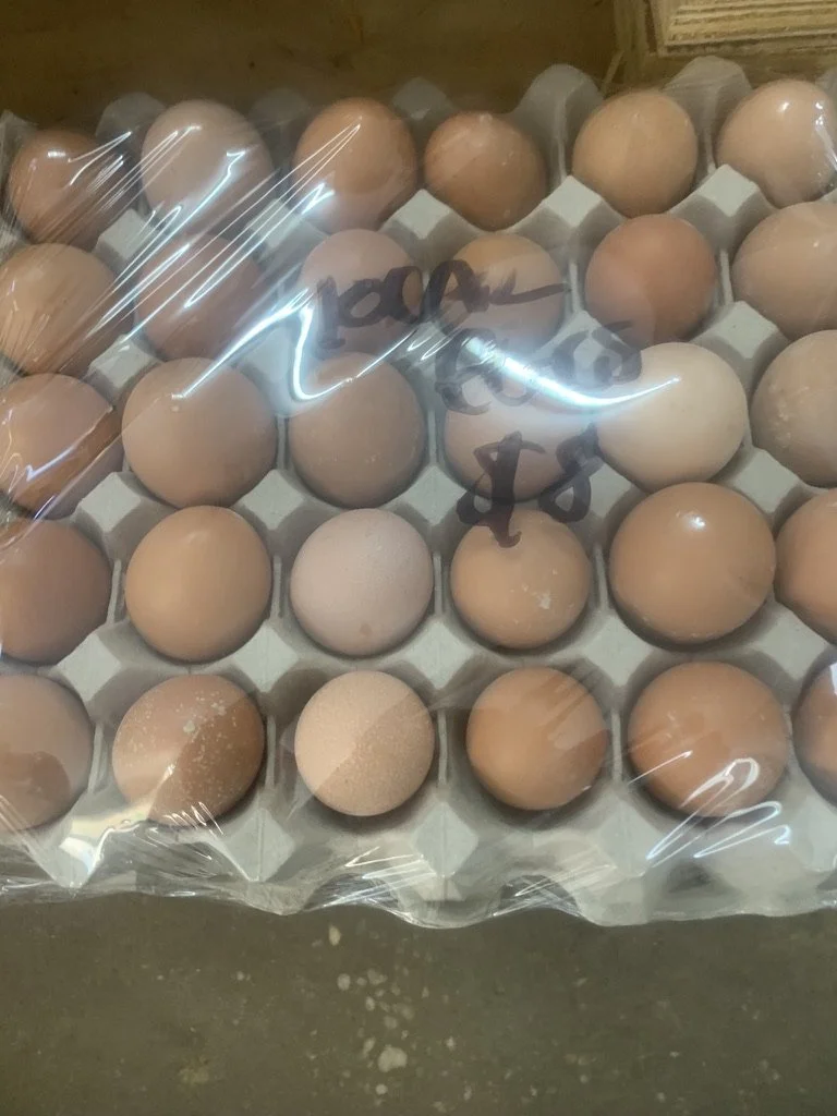 Eggs