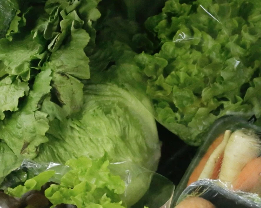 Lettuce Iceberg