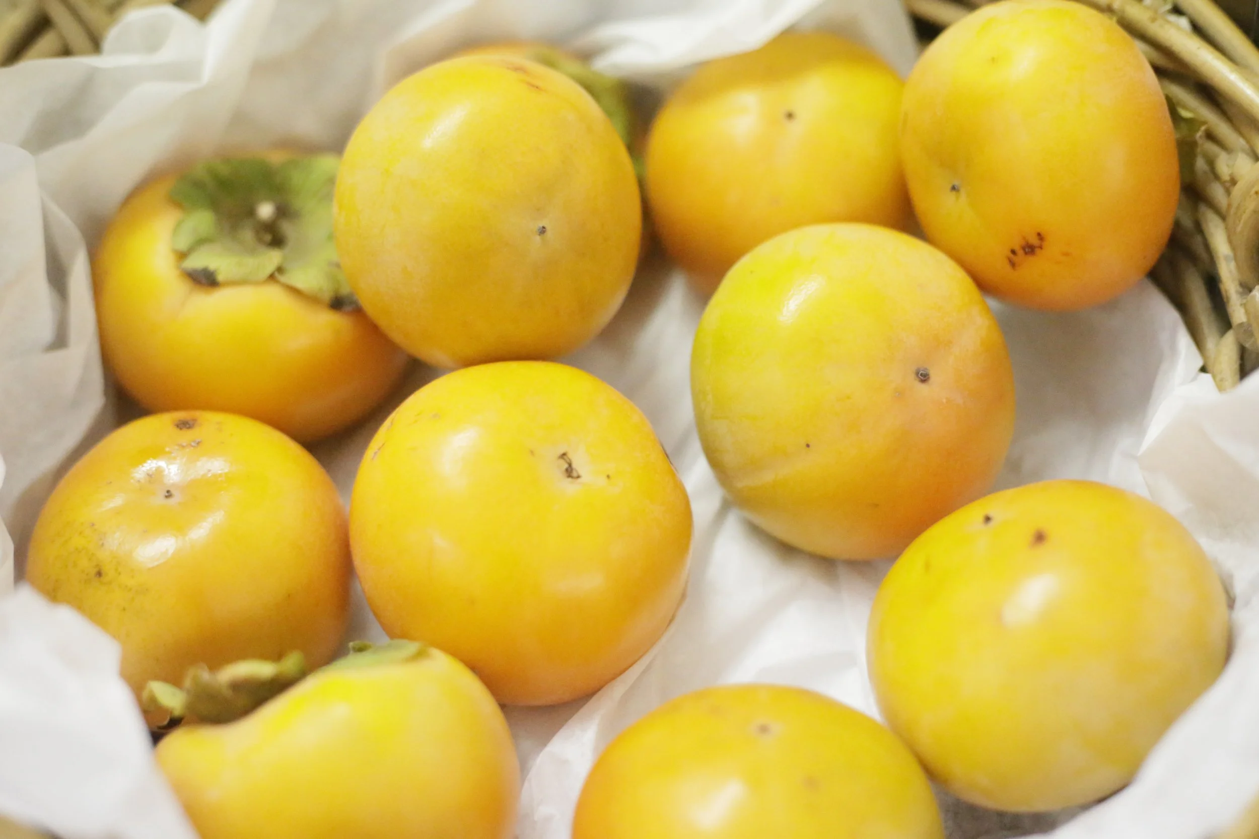 Fresh Locally Sourced Persimmons $12/kg