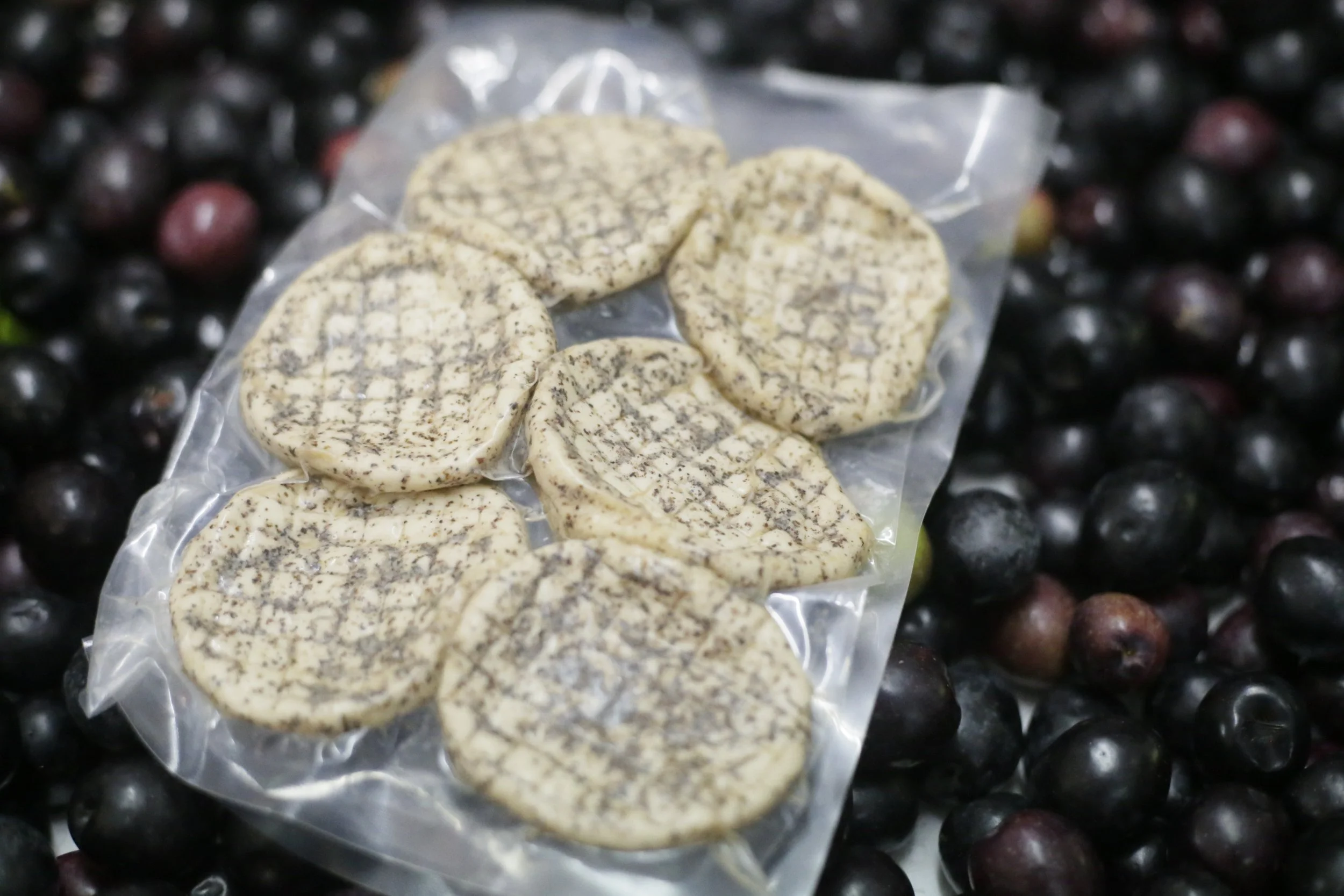 Gourmet Truffle-Infused Cheese Medallions