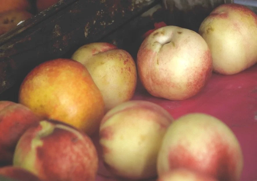 Necterines