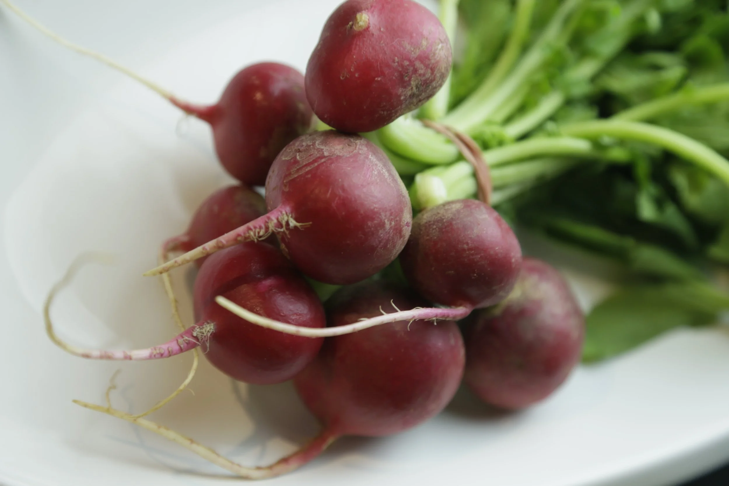 Radish $3/bunch
