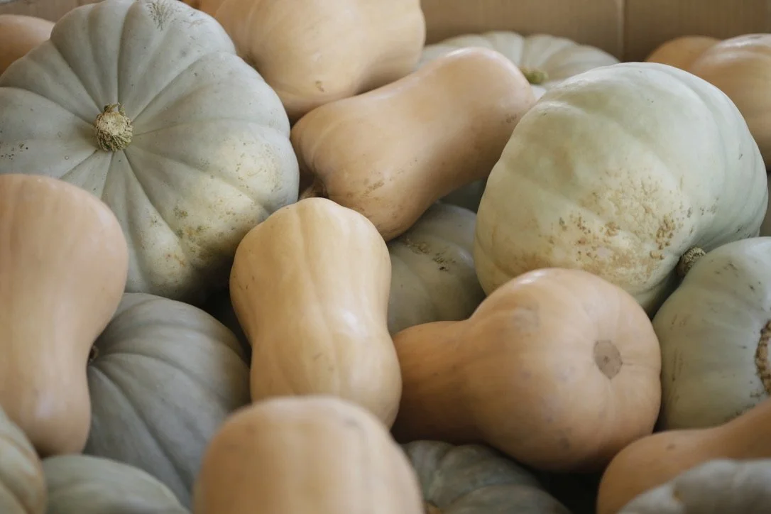 Pumpkins $1.50 per/kg