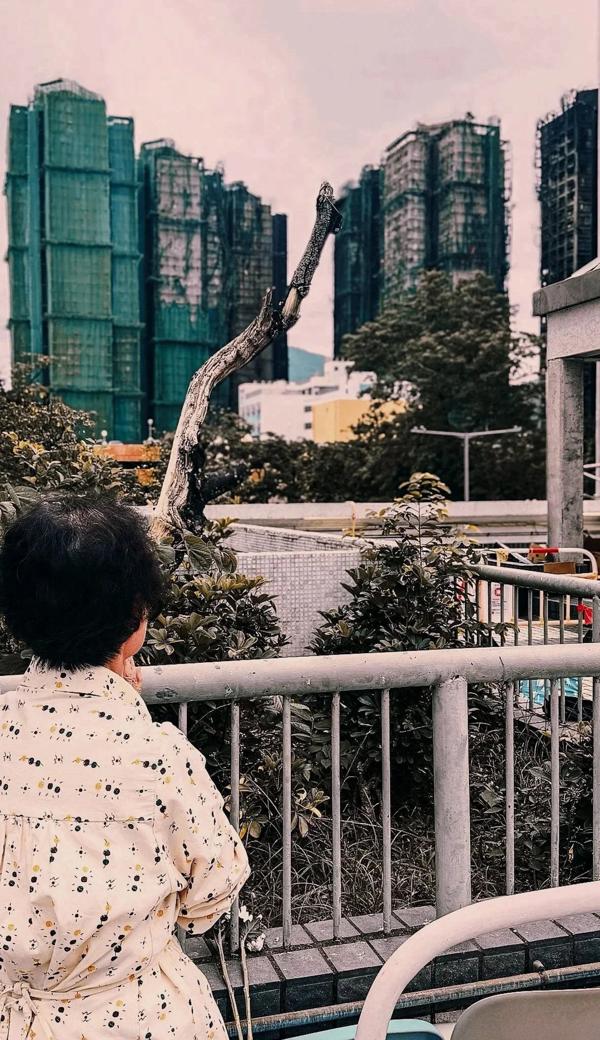 Tai Po, Hong Kong