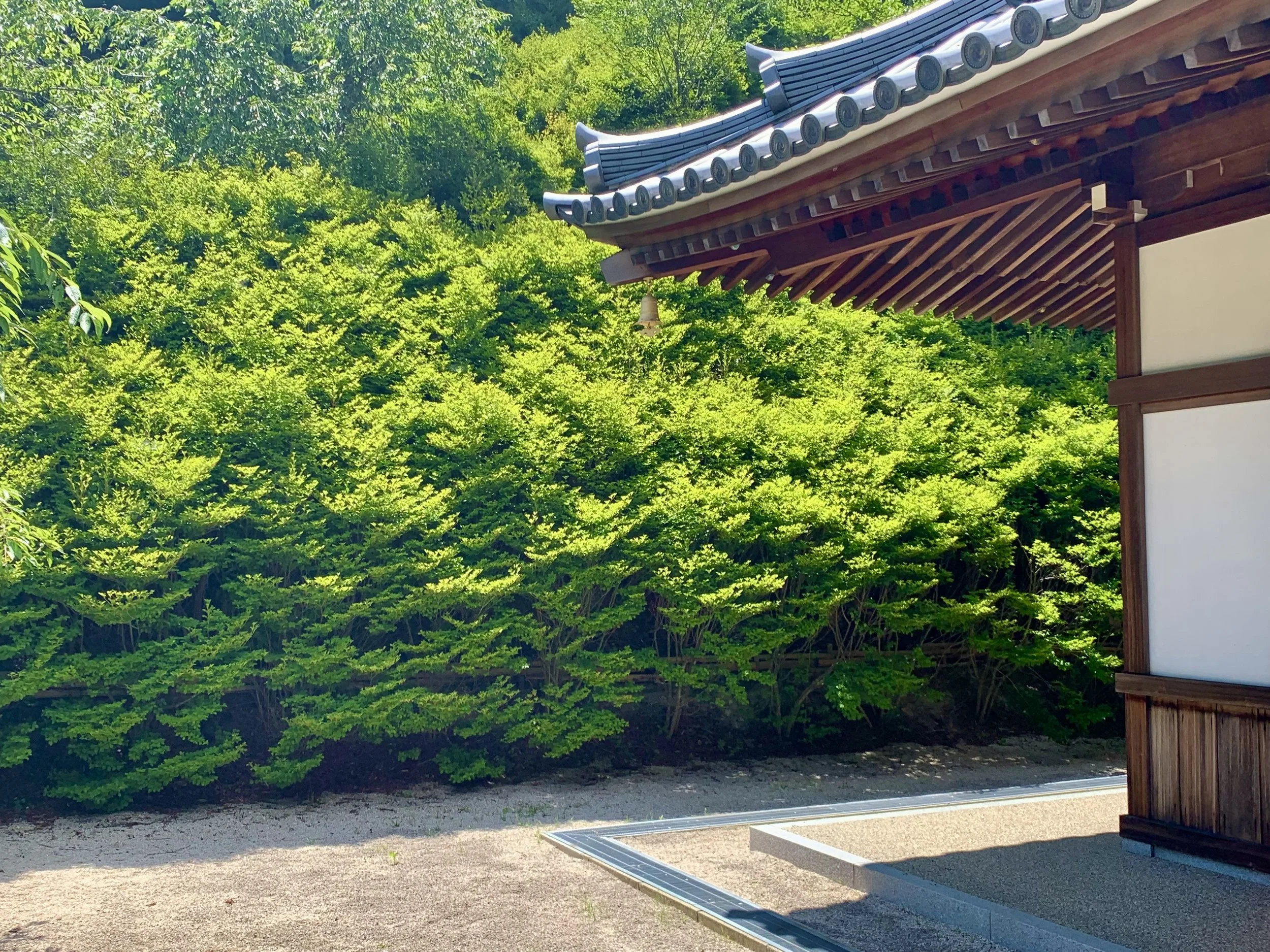 呑山観音寺7.jpeg