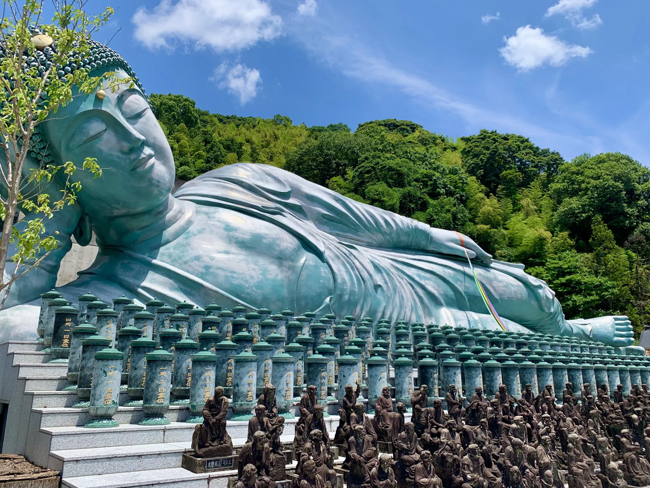 南蔵院3.jpeg
