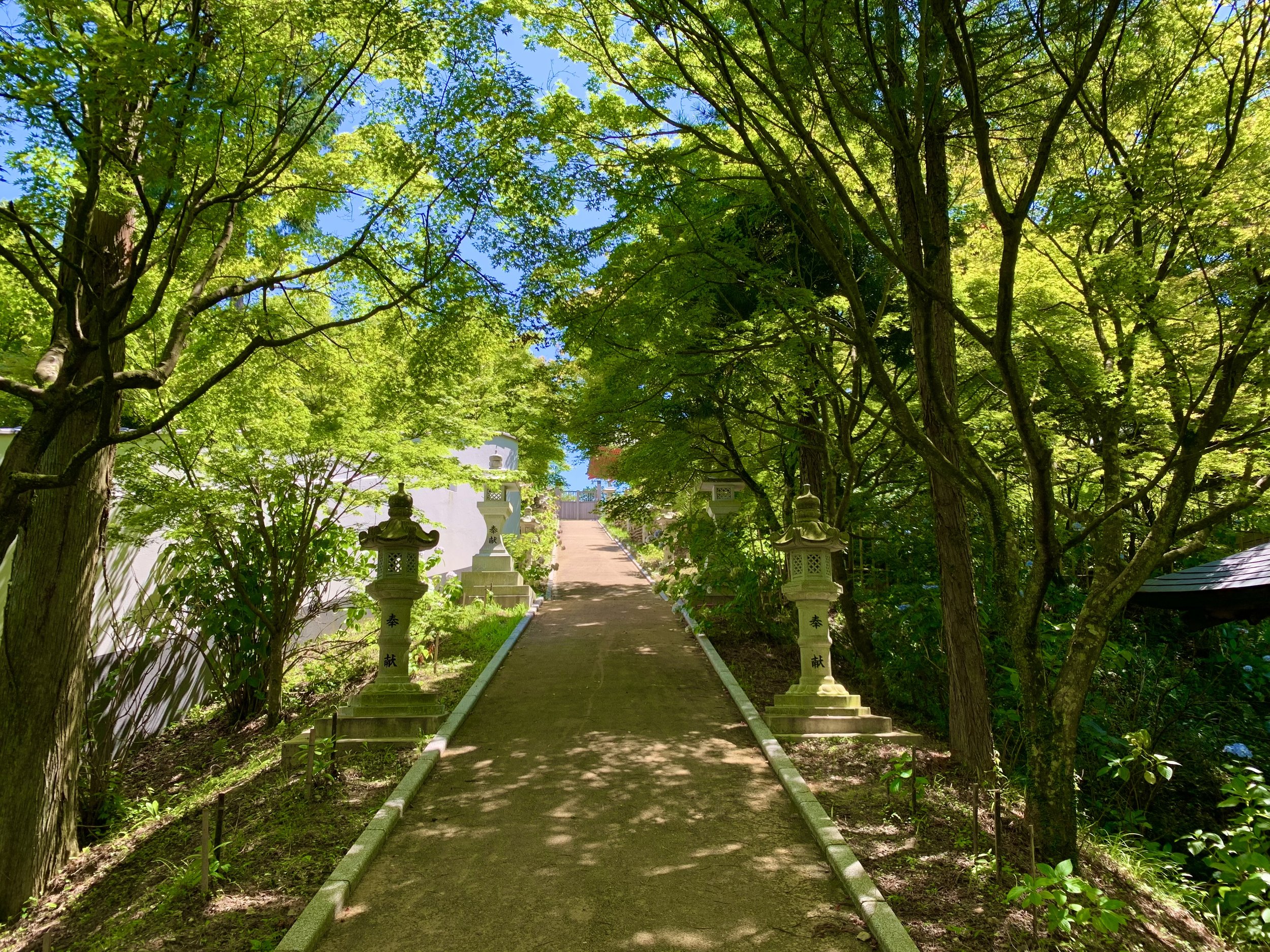 呑山観音寺5.jpeg