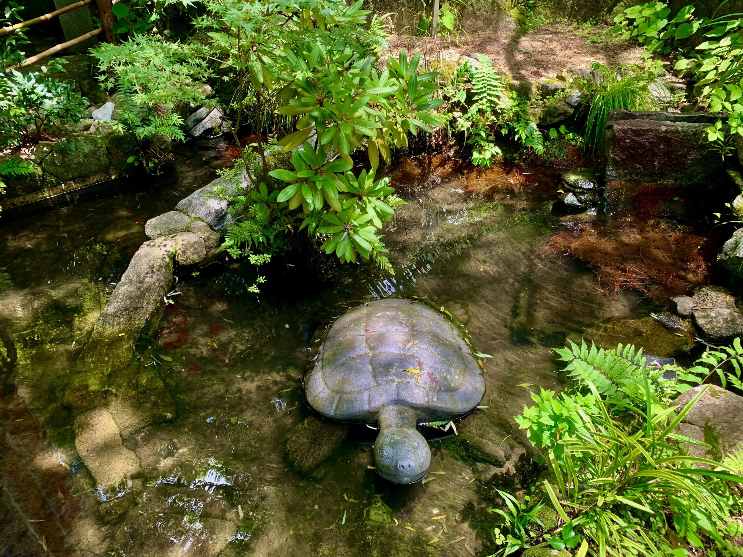 南蔵院12.jpeg