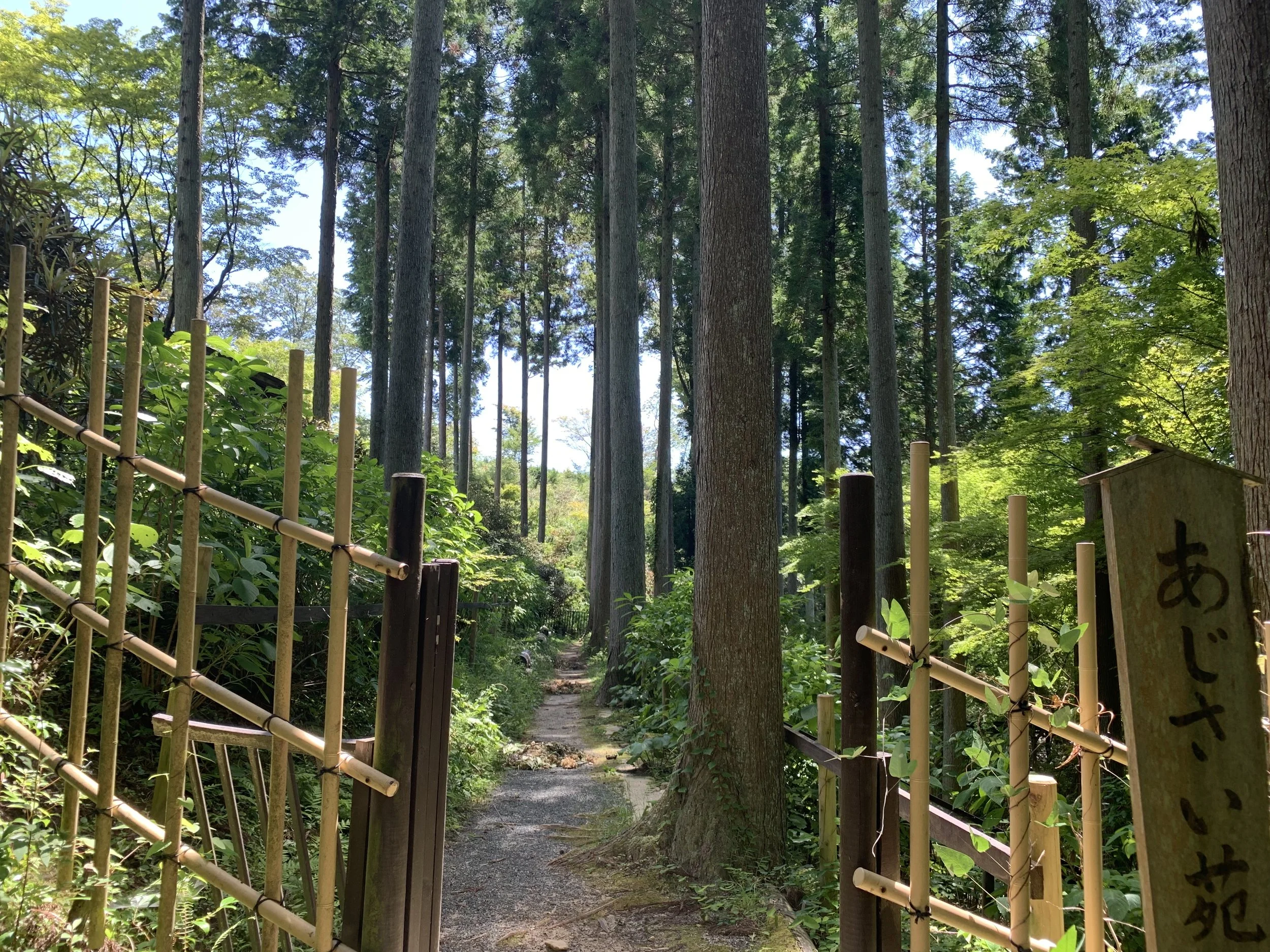 呑山観音寺1.jpeg