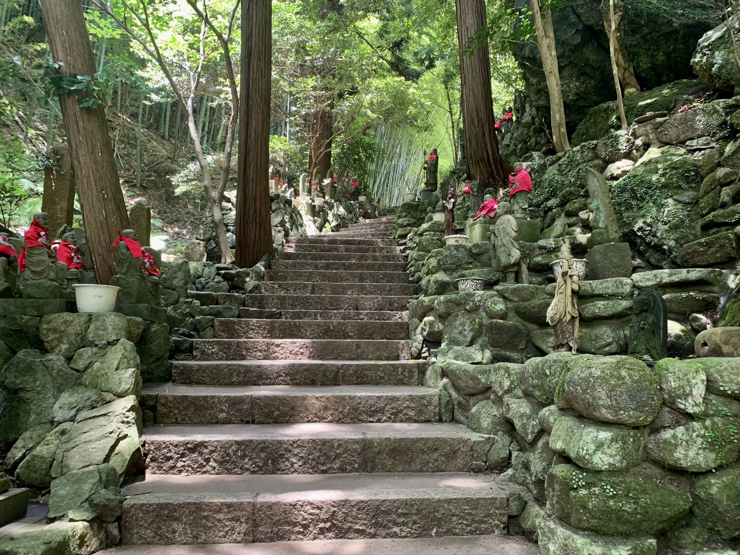 南蔵院9.jpeg