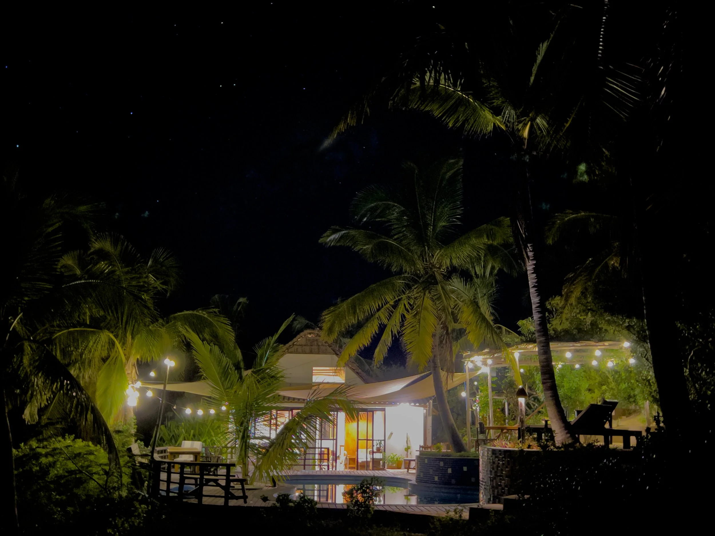 Nighttime scene of a tropical garden with tall palm trees, illuminated outdoor seating, and a brightly lit building in the background.