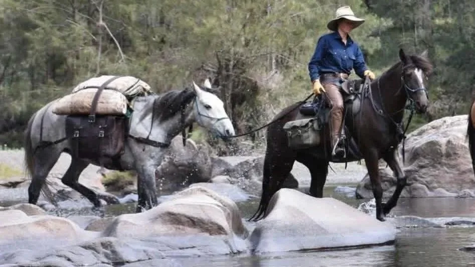 Wild Beginnings: Discover the Art of Pack Saddling in Australia