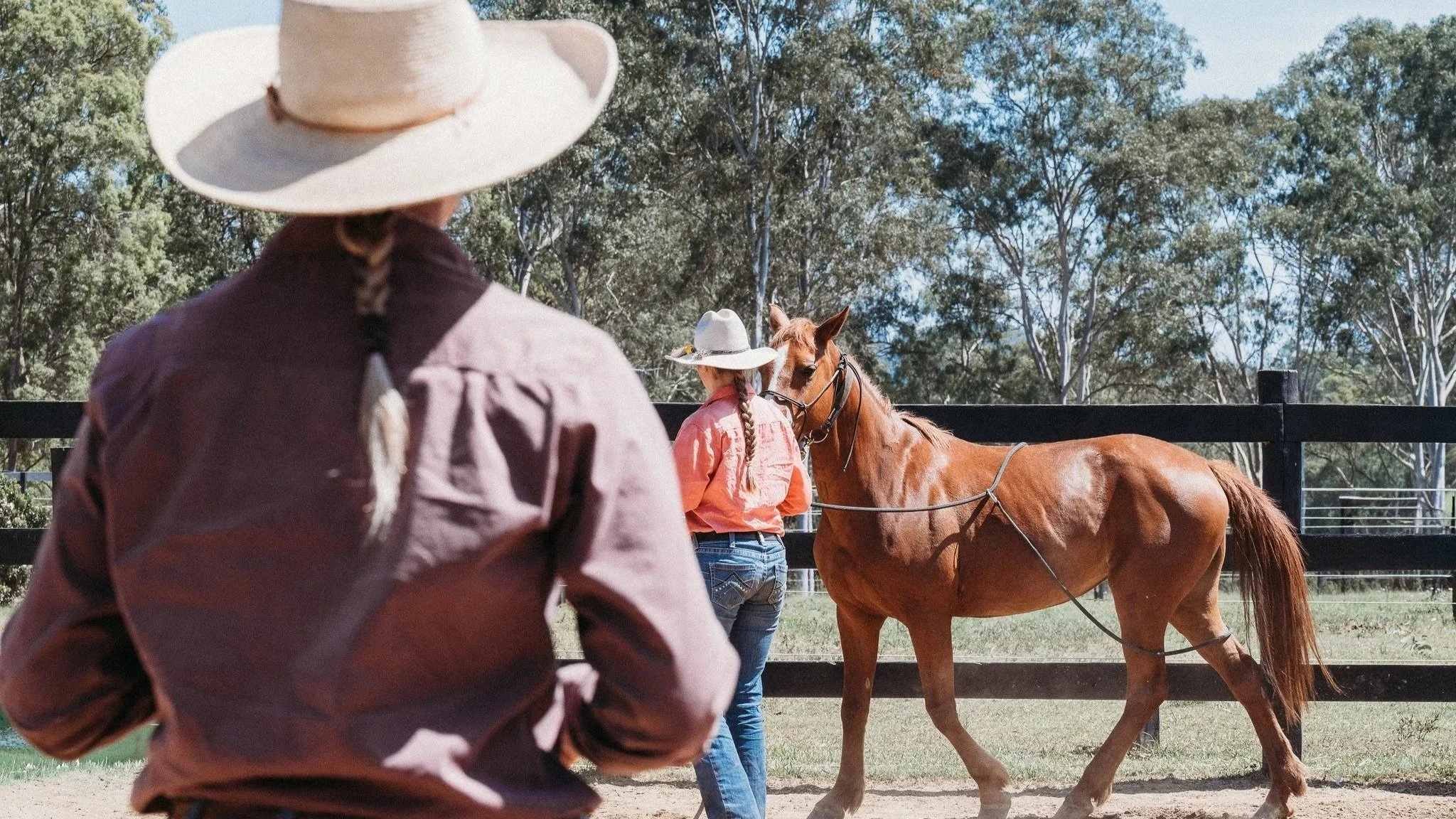 Brumby Mini Camp 2026: A Hands-On Introduction to Brumby Horsemanship &amp; Australian Bush Culture