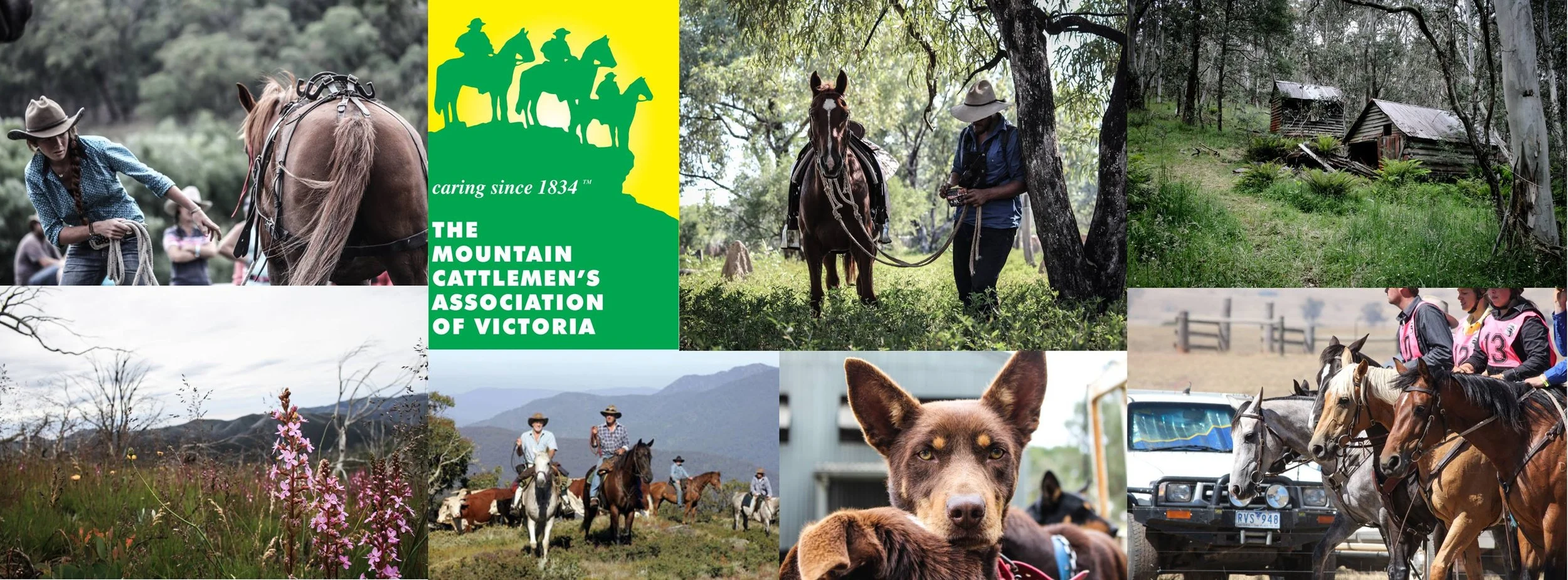 Mountain Cattlemen’s Annual Get Together: Preserving Australia’s High Country Heritage