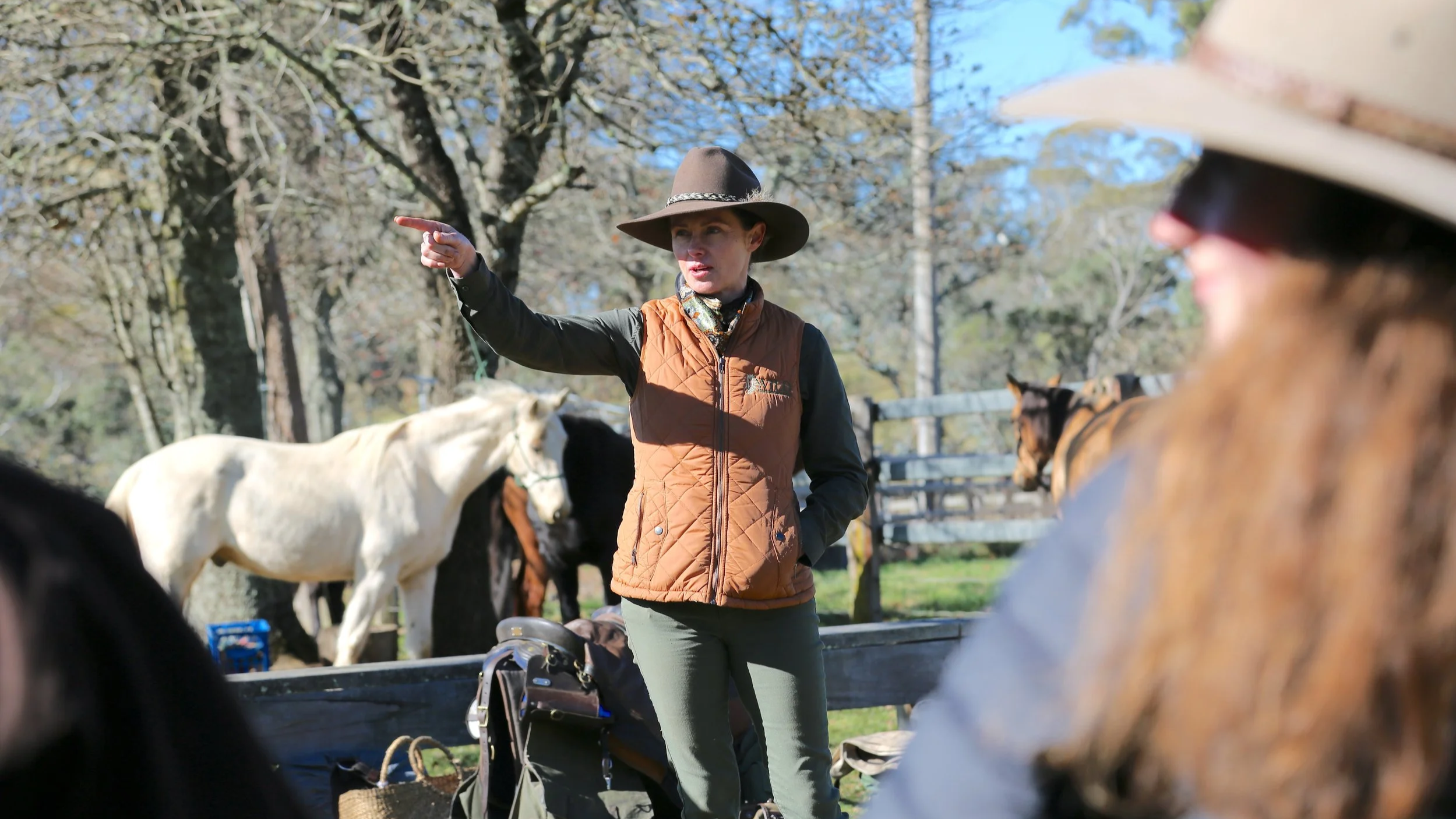 Wild Beginnings Pack Saddling Clinic: Full Review &amp; Guide