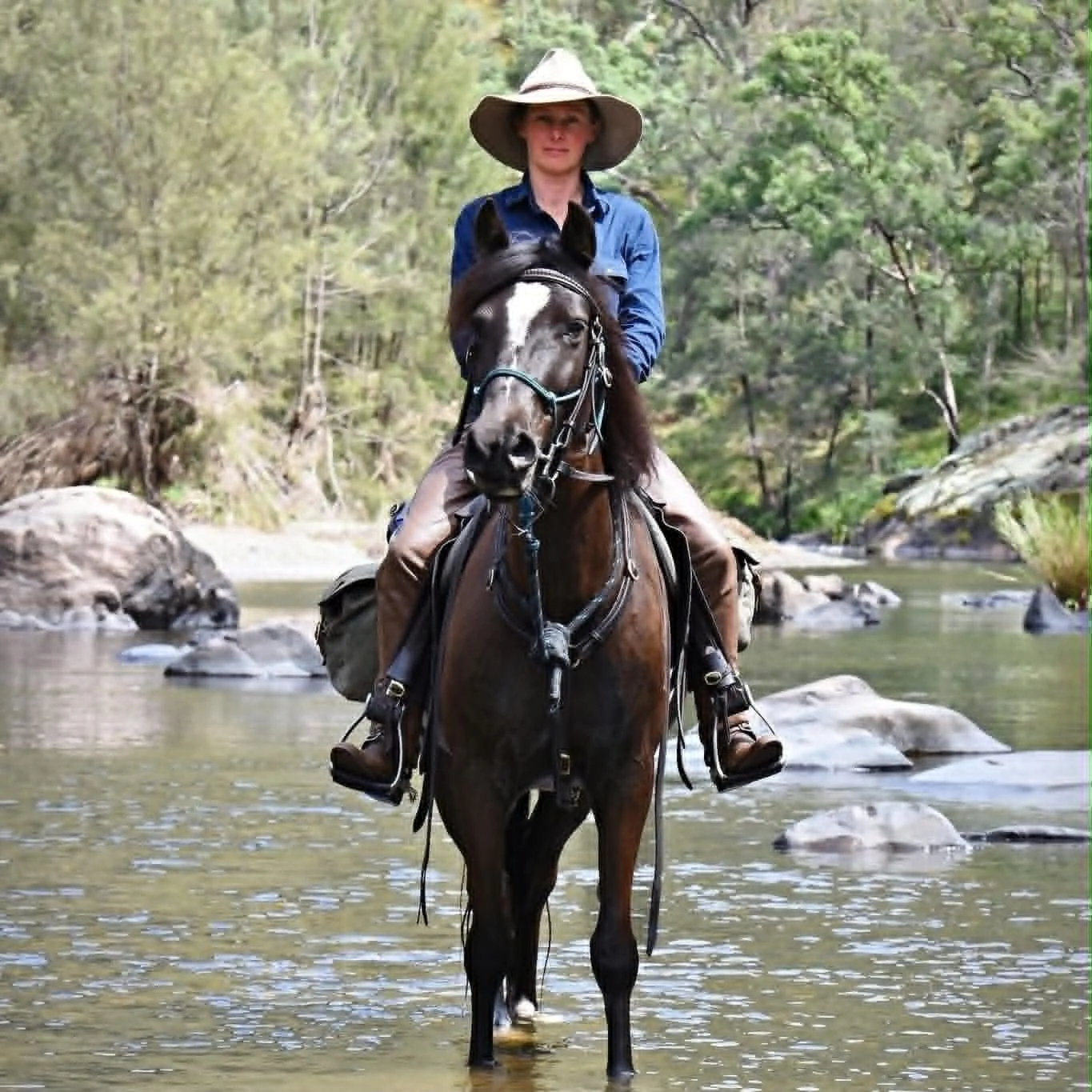 Kate Young Riding a Brumby in the Gay Fawkes National Park