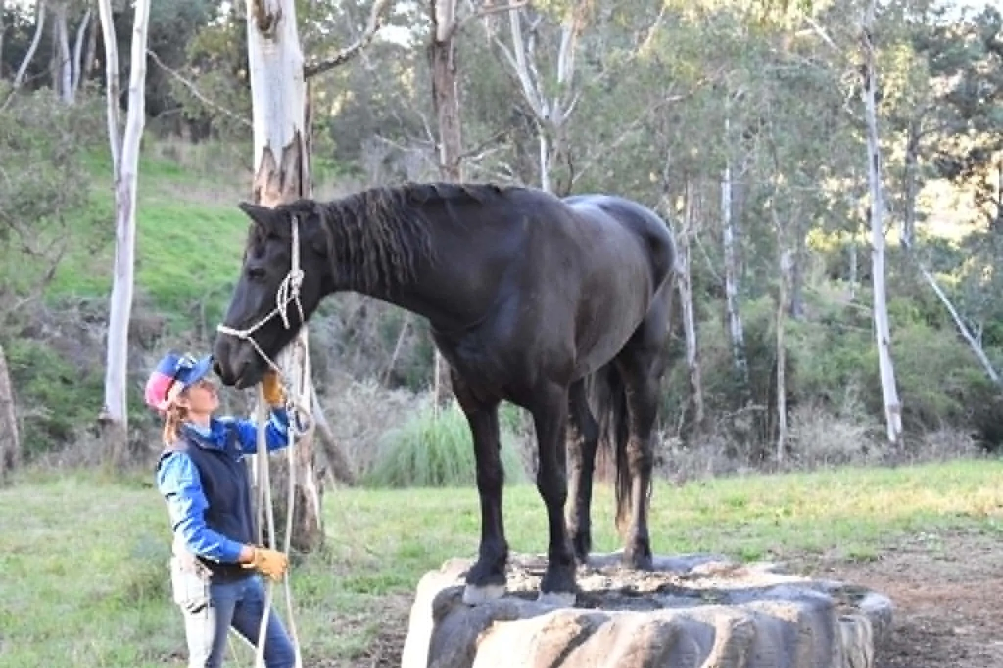 Kate Young Training her horse