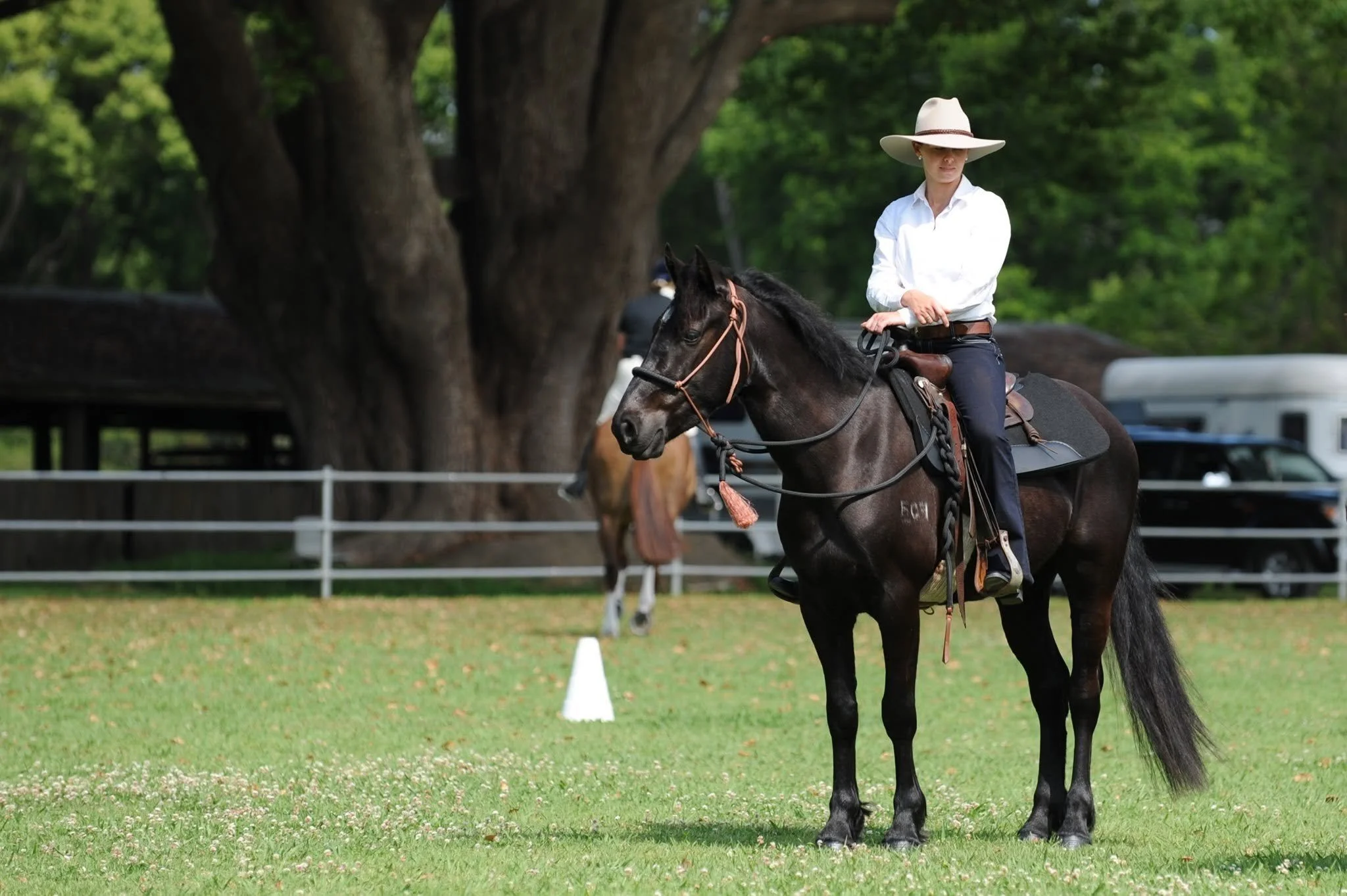 Kate Young at a show with her brumby, Legacy