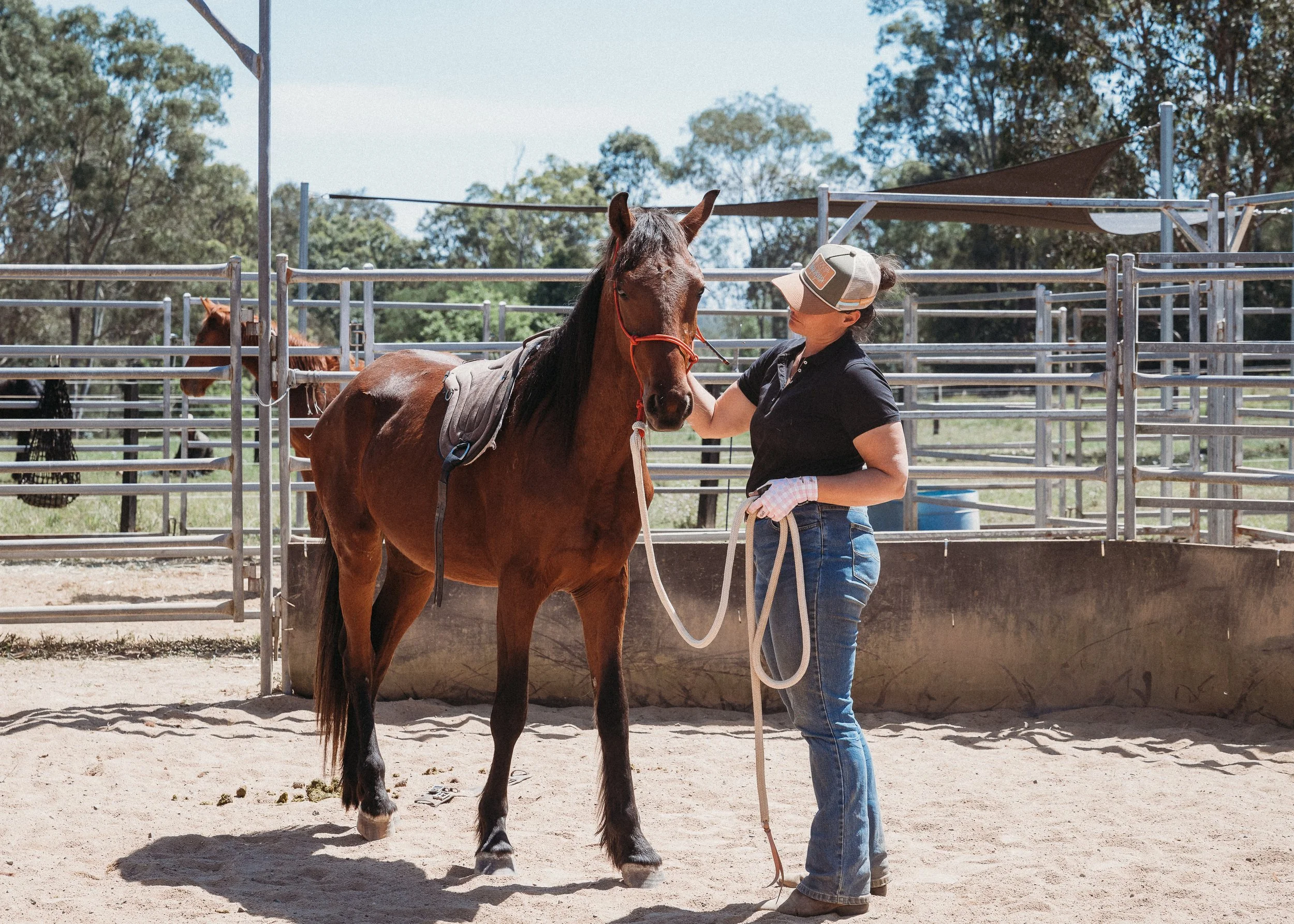 A woman in a black shirt, jeans, and a hat interacting with a brown horse in a fenced outdoor area with trees in the background.